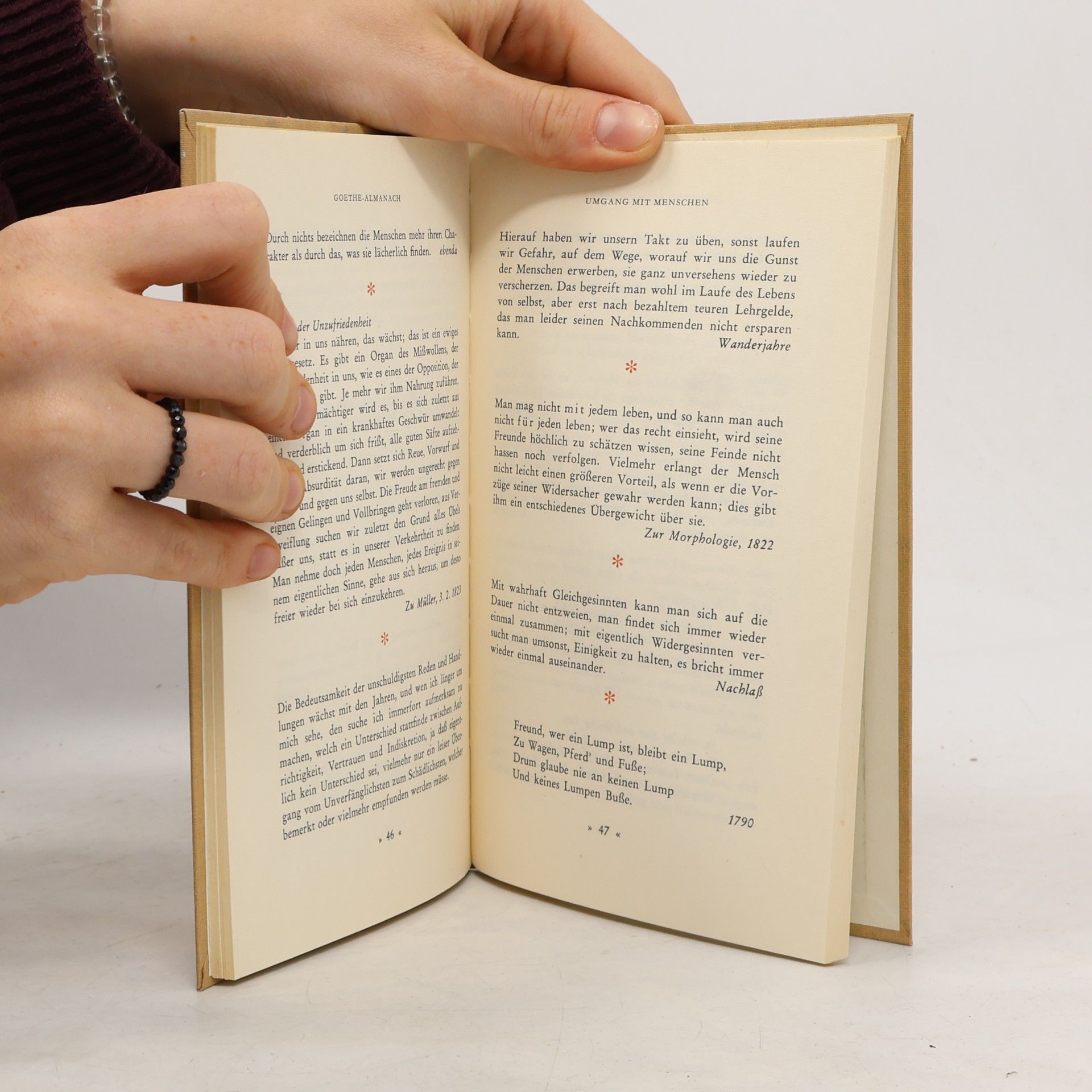 Rihard Fridental Goethe. Weisheiten im ersten und heiteren Ton