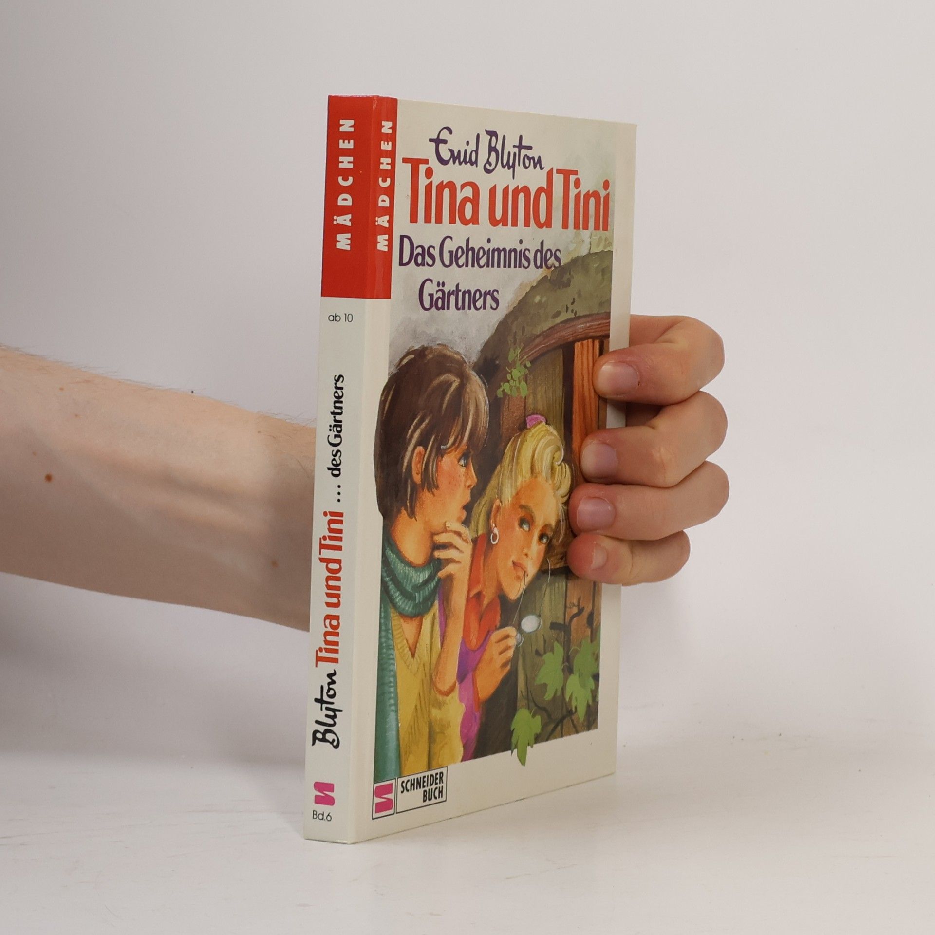 Enid Blyton Tina und Tini - Das Geheimnis des Gärtners