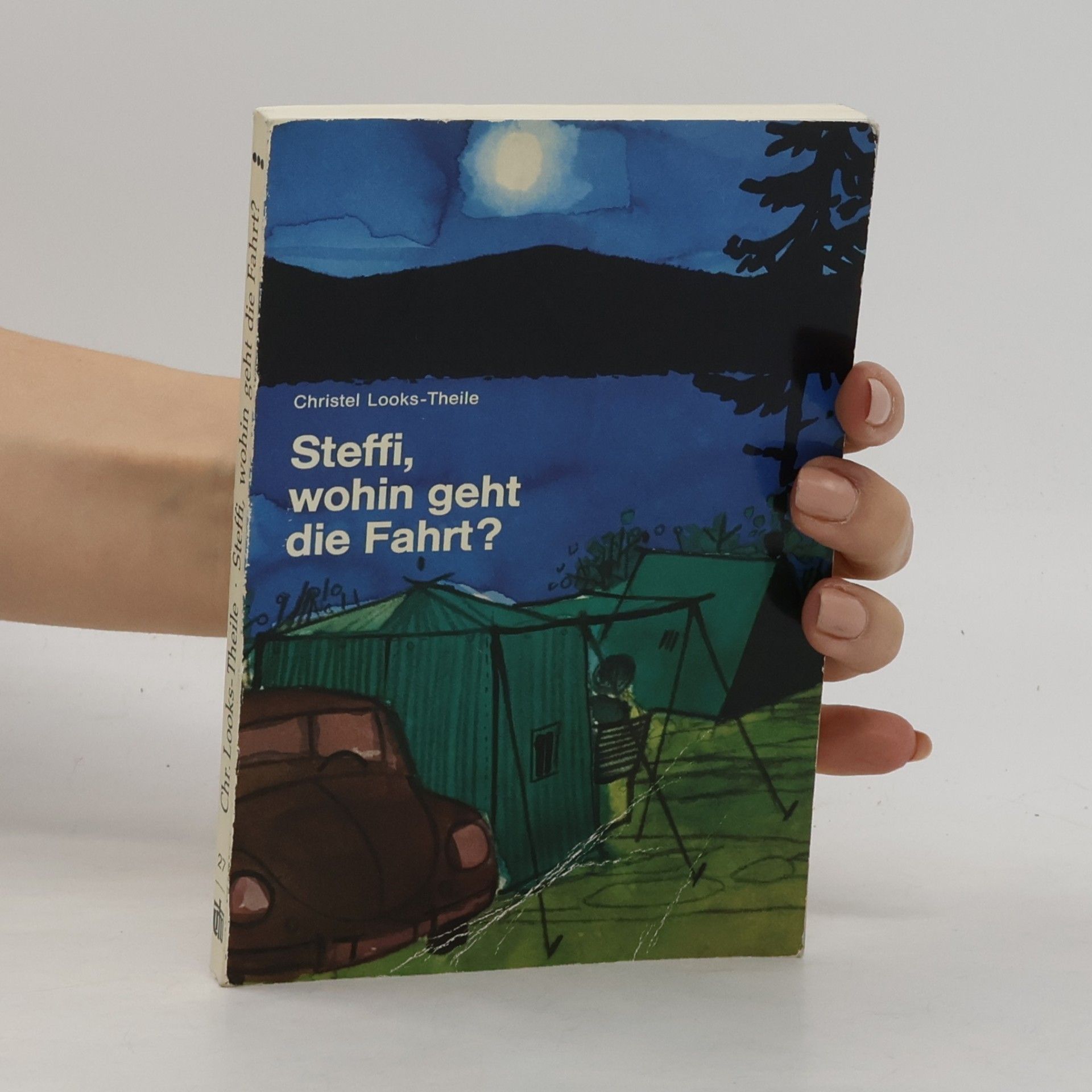 Christel Looks-Theile Steffi, wohin geht die Fahrt?