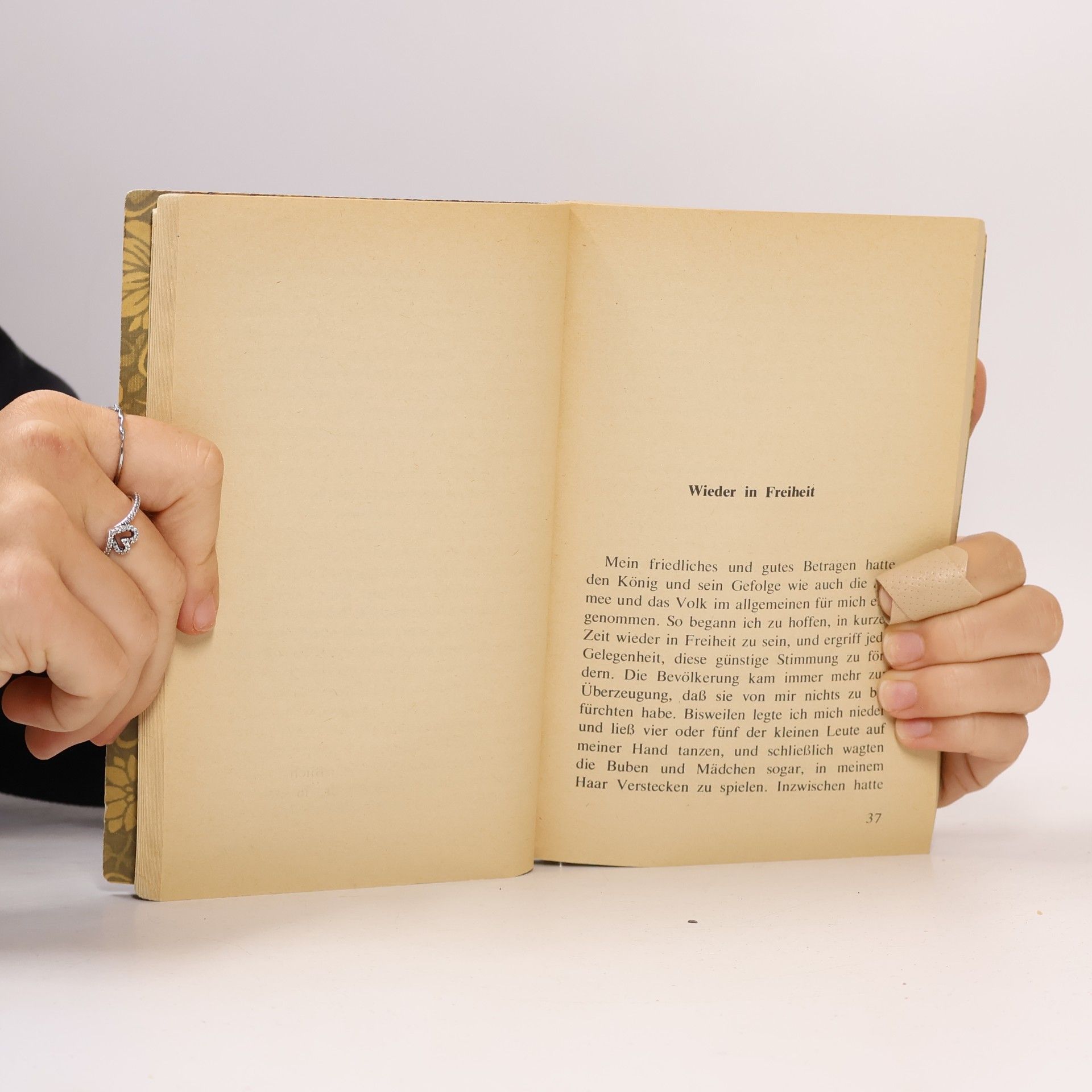 Jonathan Swift Gullivers Reisen