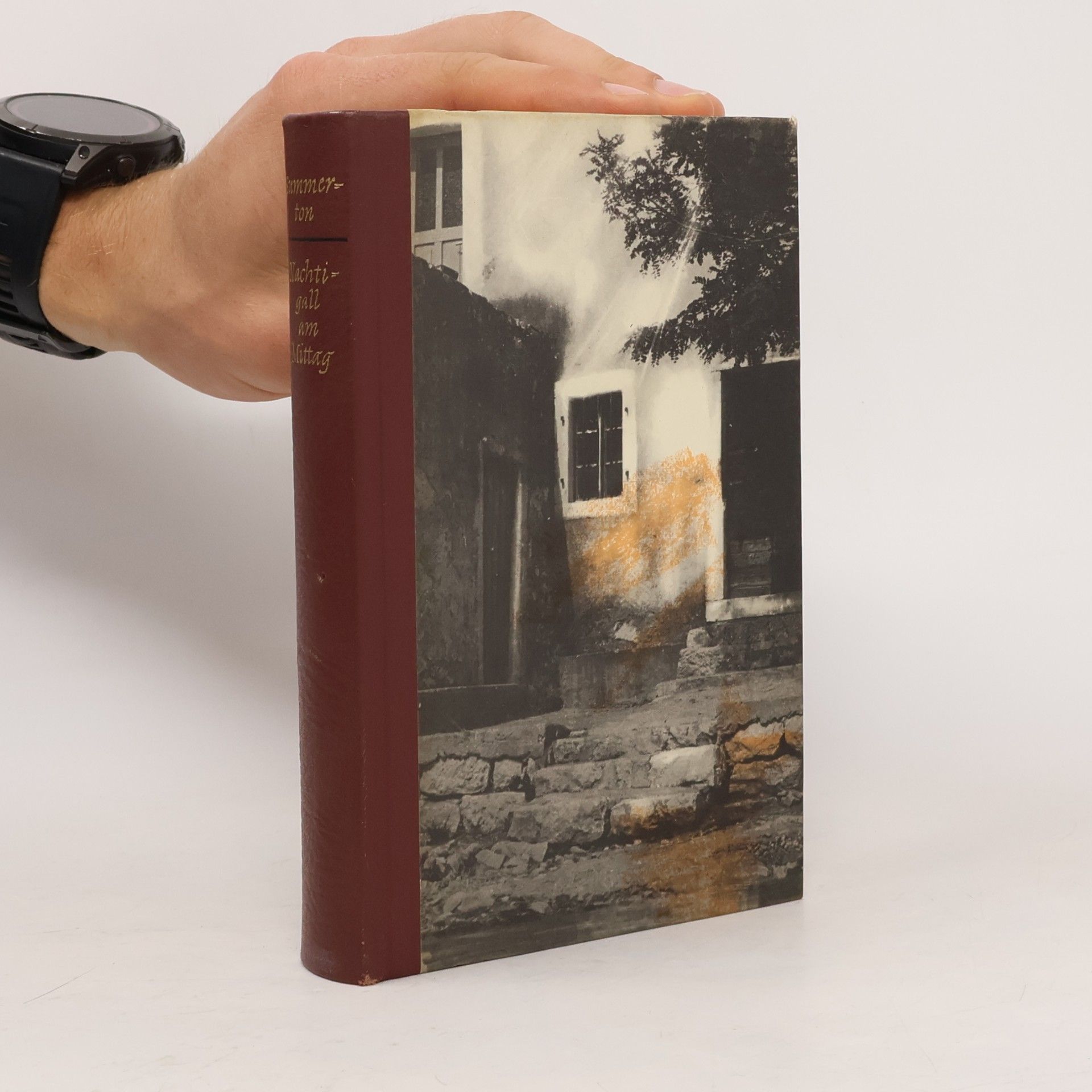 Margaret Summerton Nachtigall am Mittag