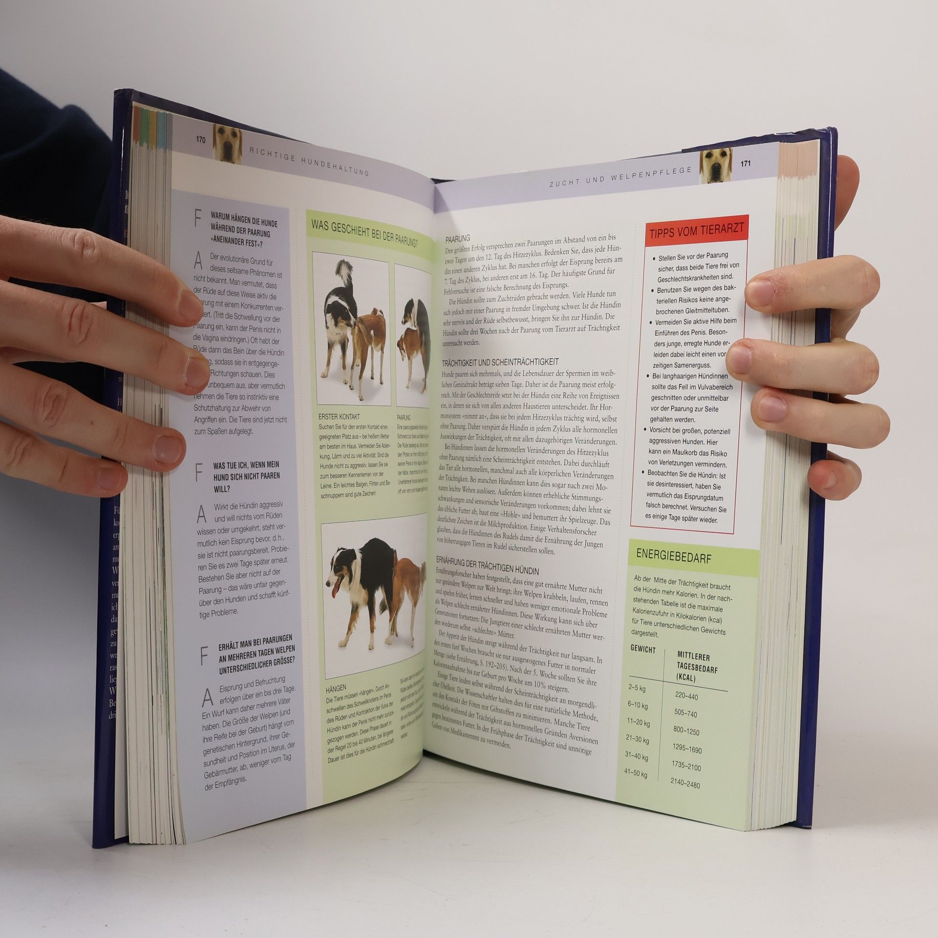 Bruce Fogle Das große Praxisbuch Hunde