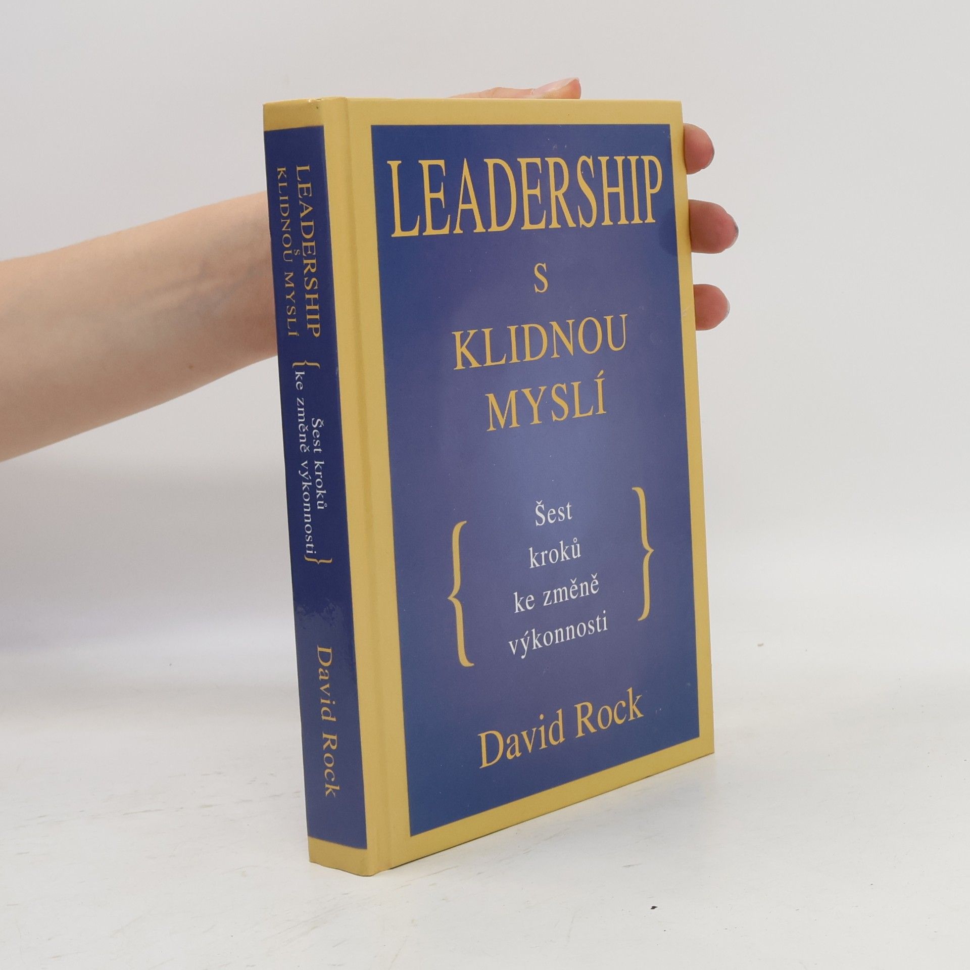David Rock Leadership s klidnou myslí
