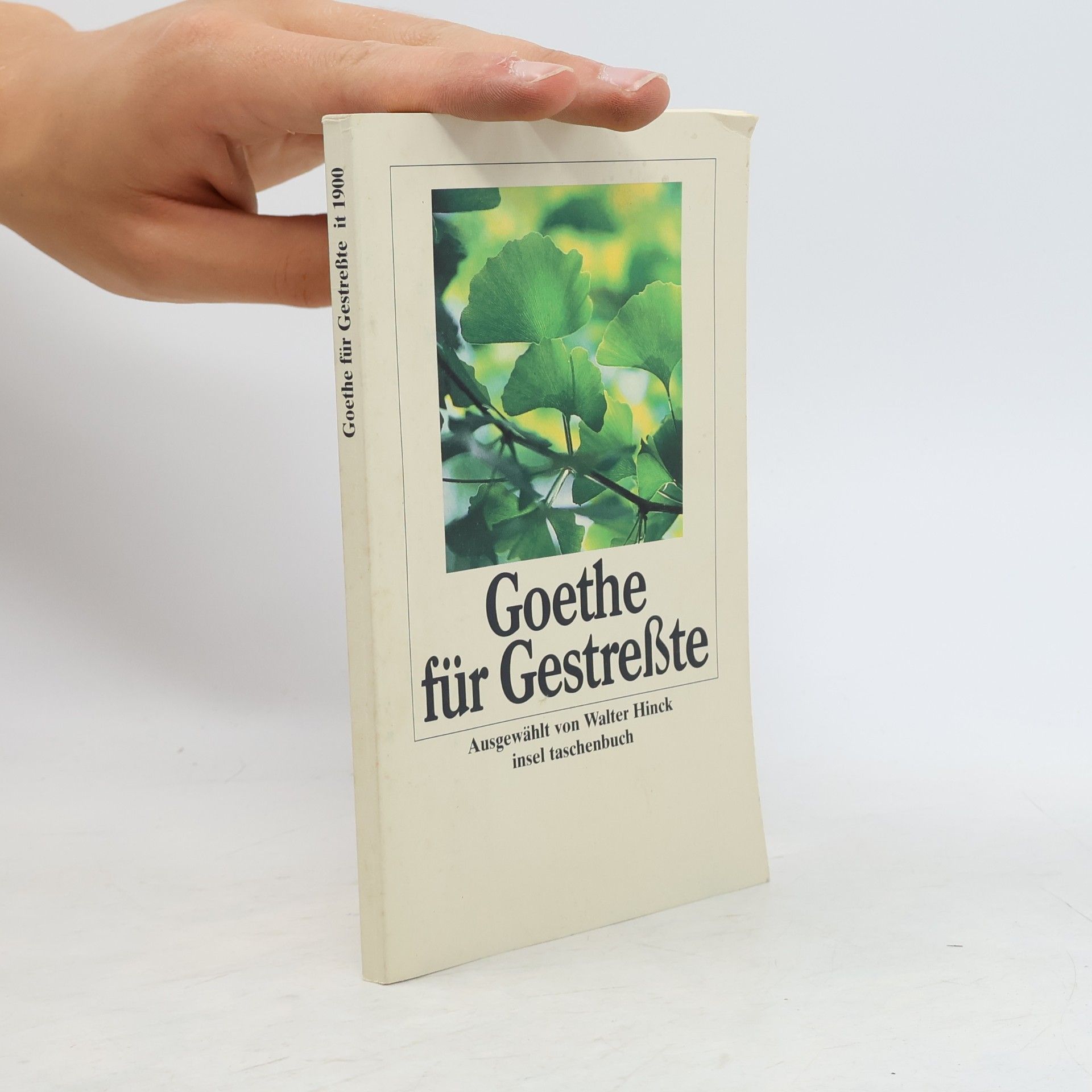 Johann Wolfgang von Goethe Goethe für Gestreßte