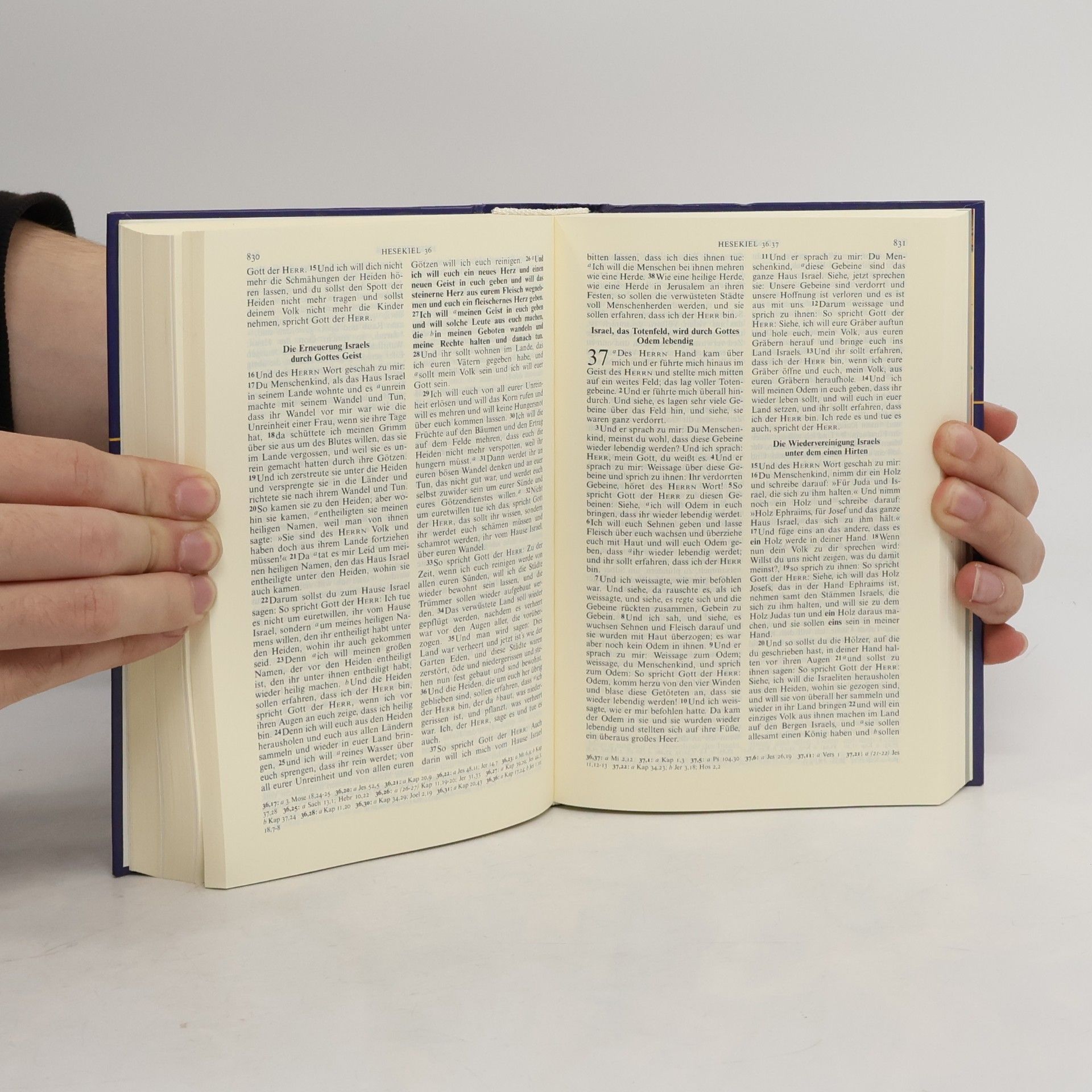 Various authors Lutherbibel mit Einführungen und Bildern