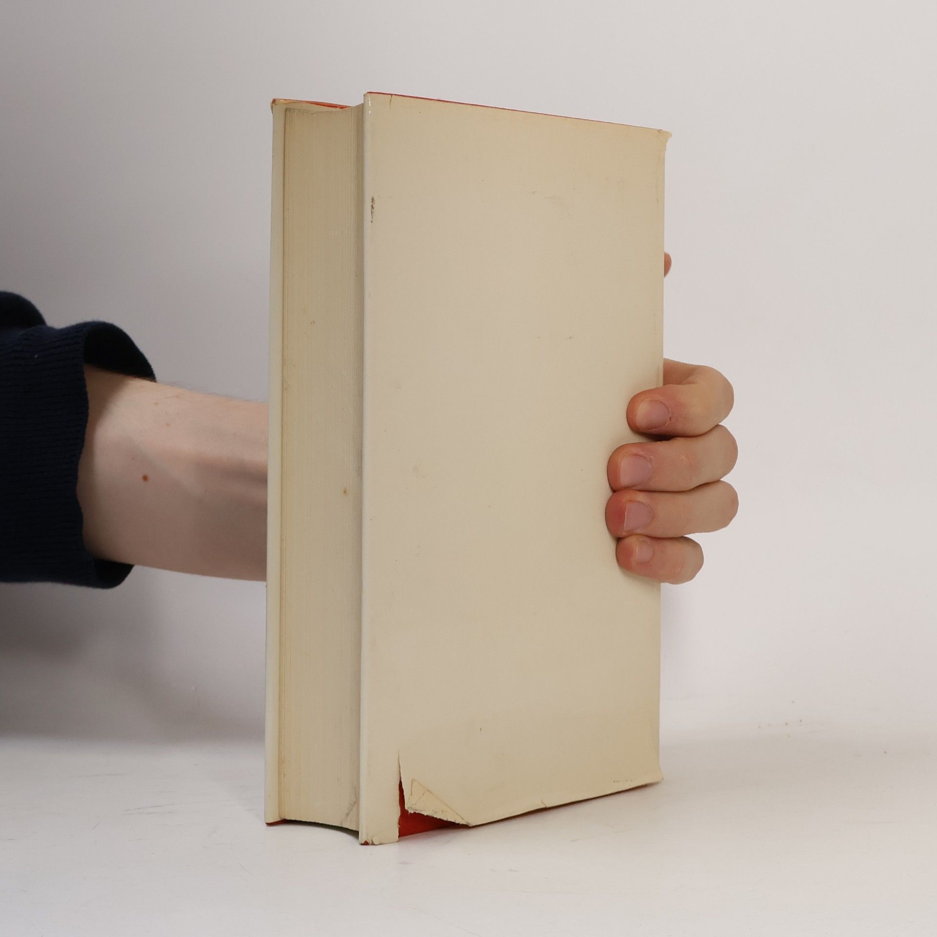 Alfred Läpple Report der Kirchengeschichte