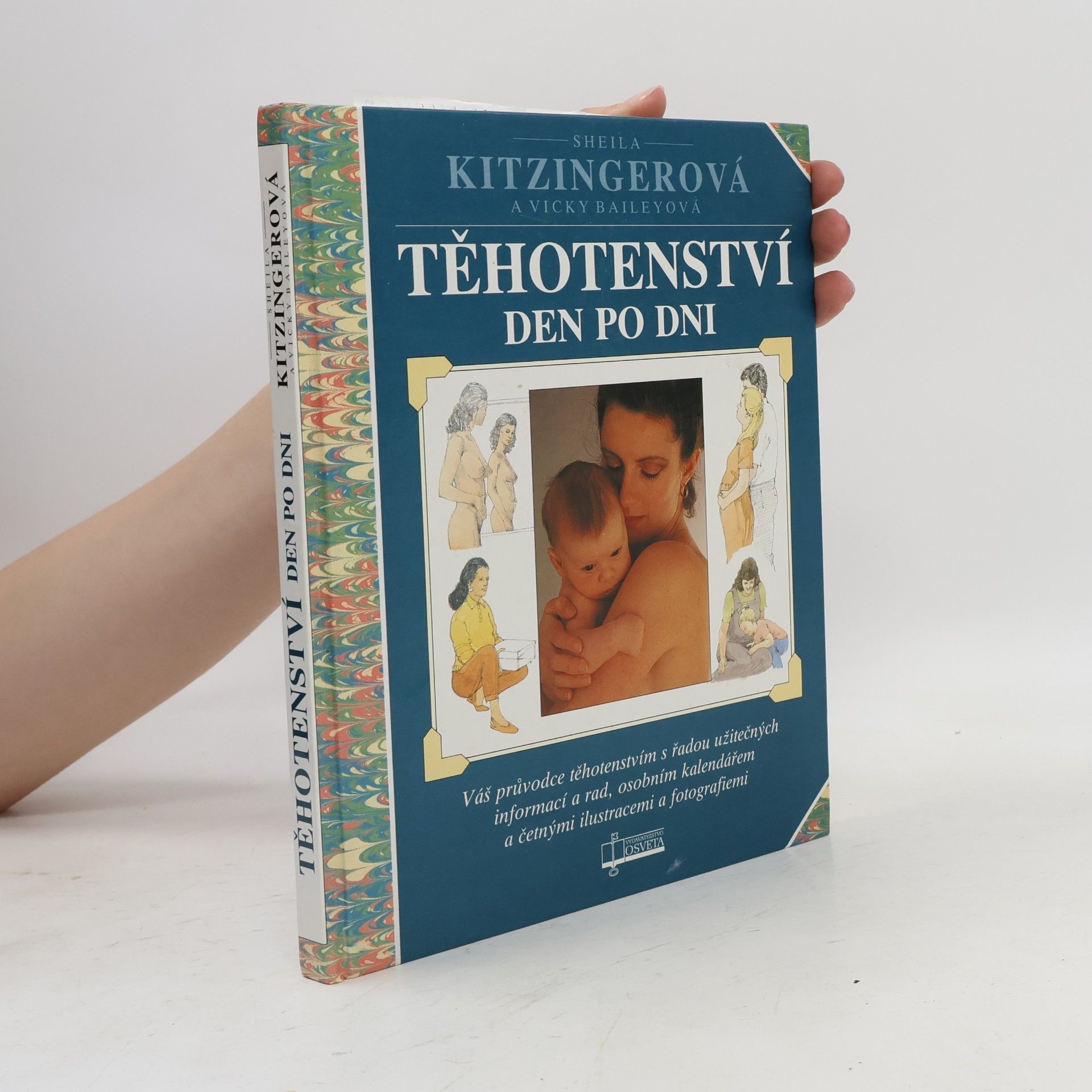 Těhotenství den po dni