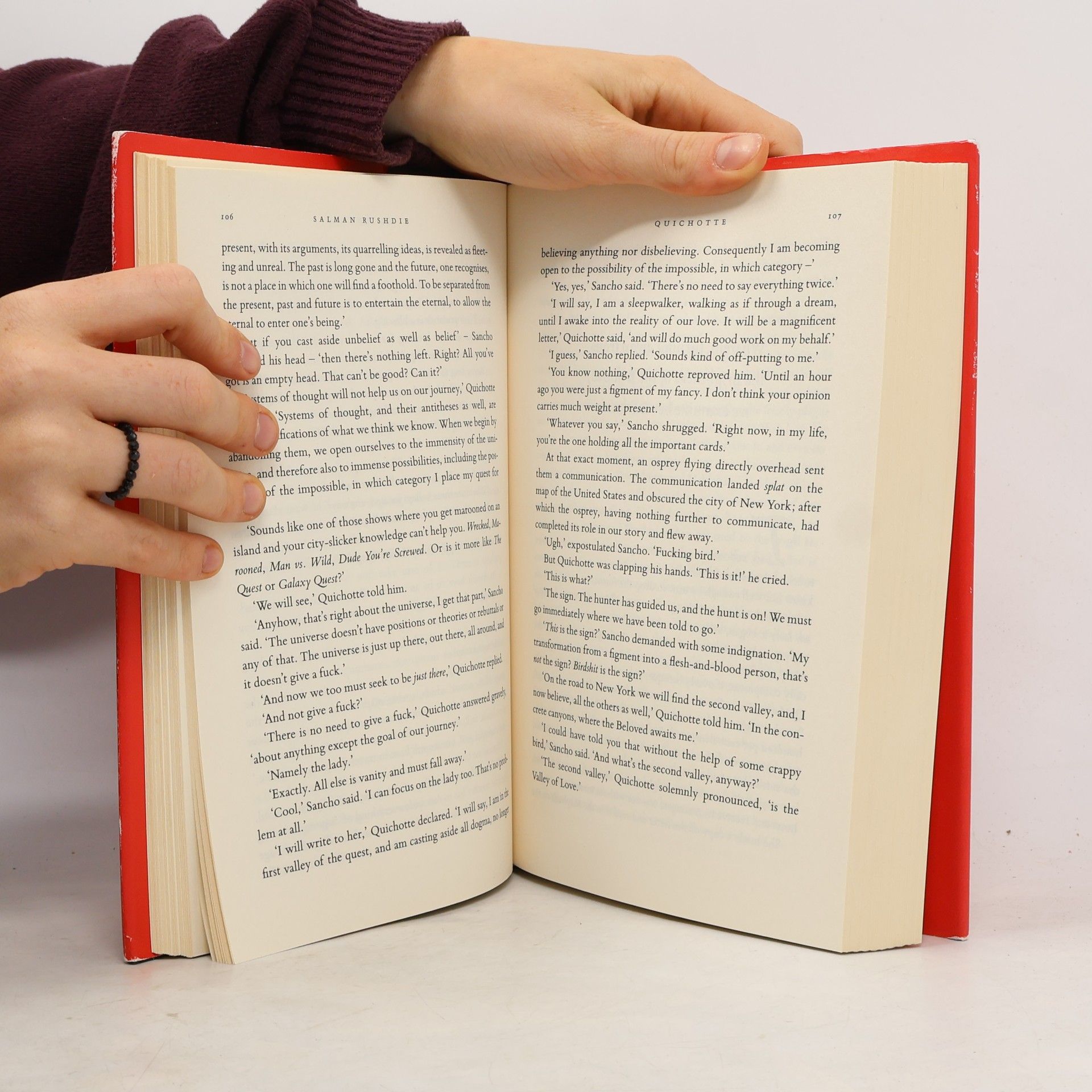 Salman Rushdie Quichotte