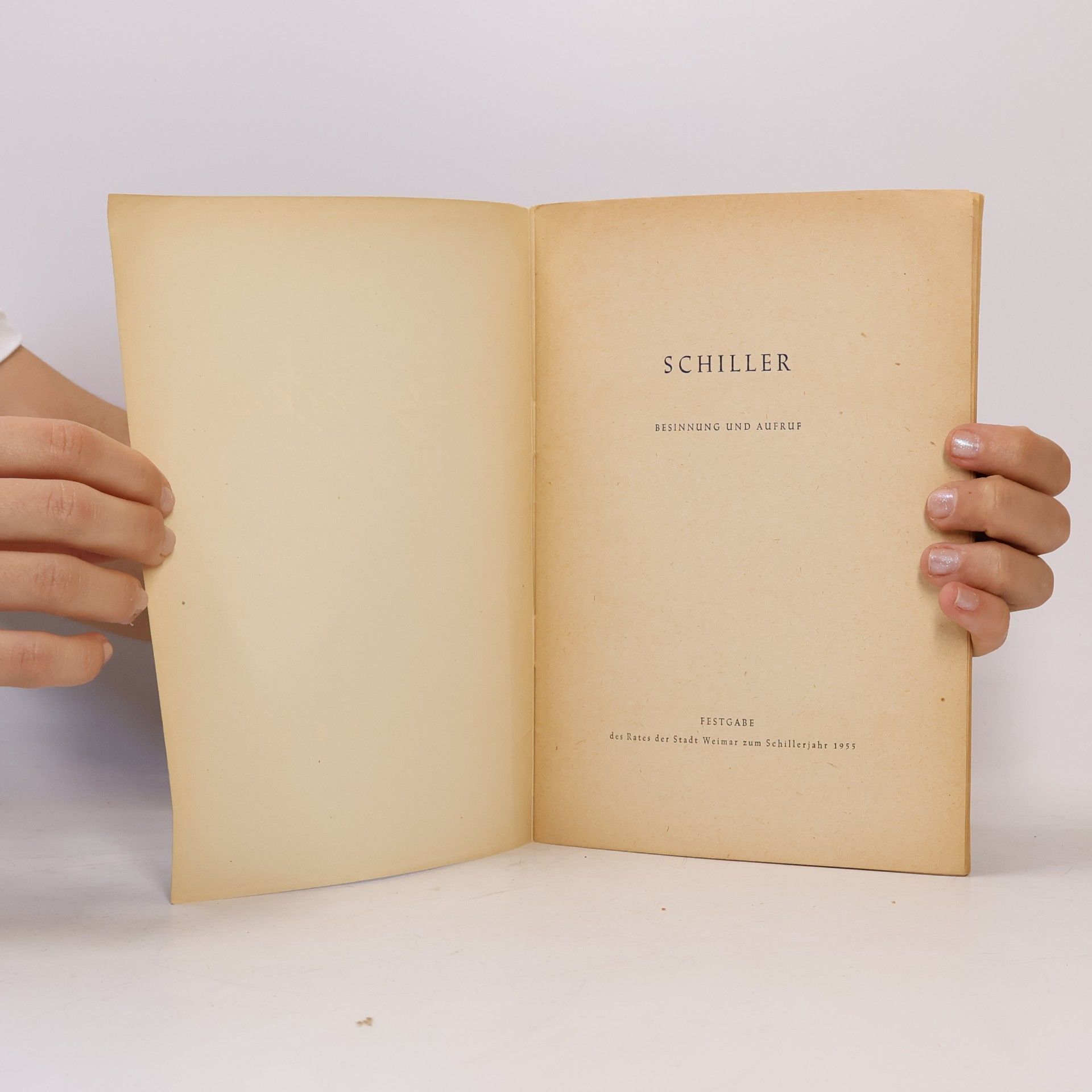 kolektiv Schiller: Besinnung und Aufruf