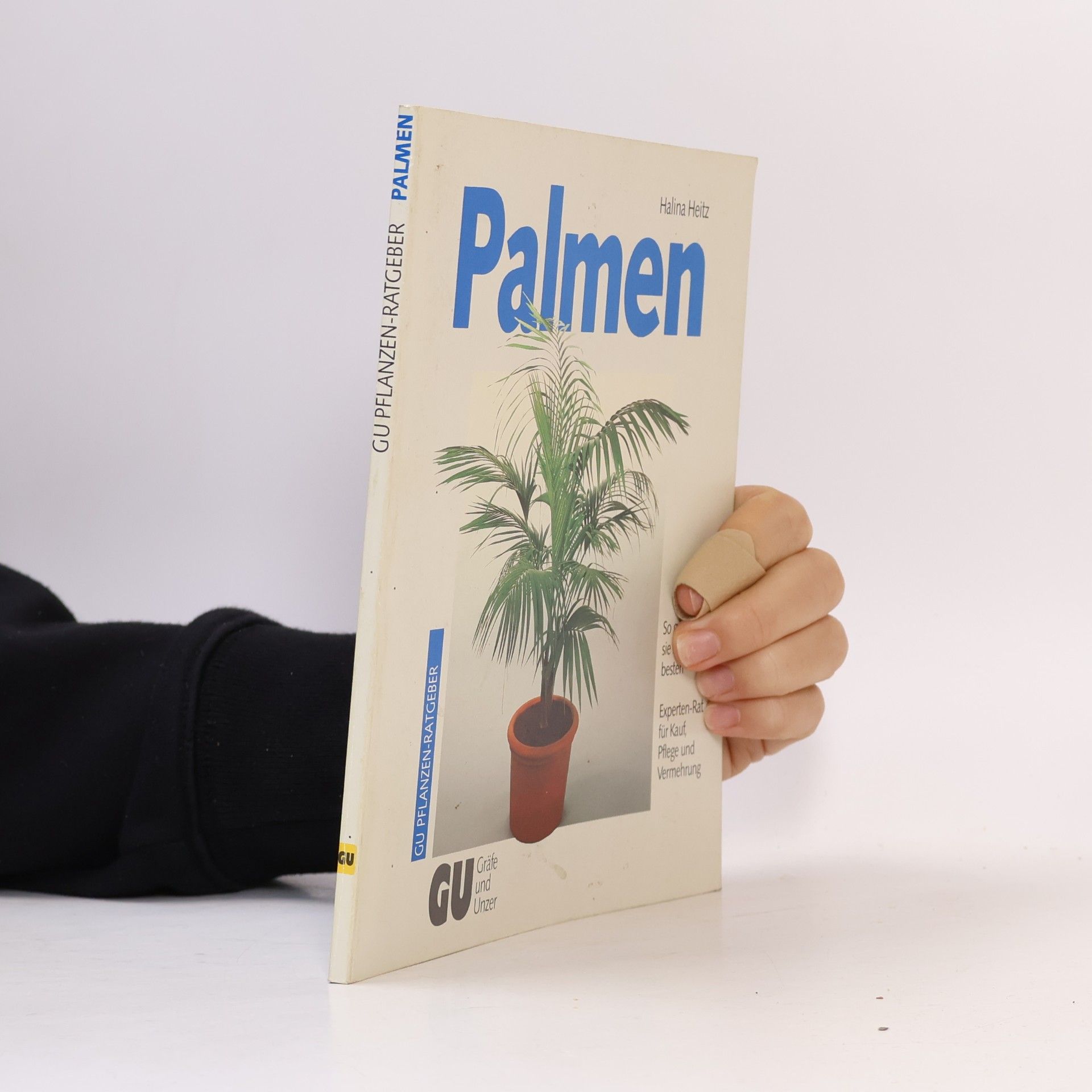 Palmen