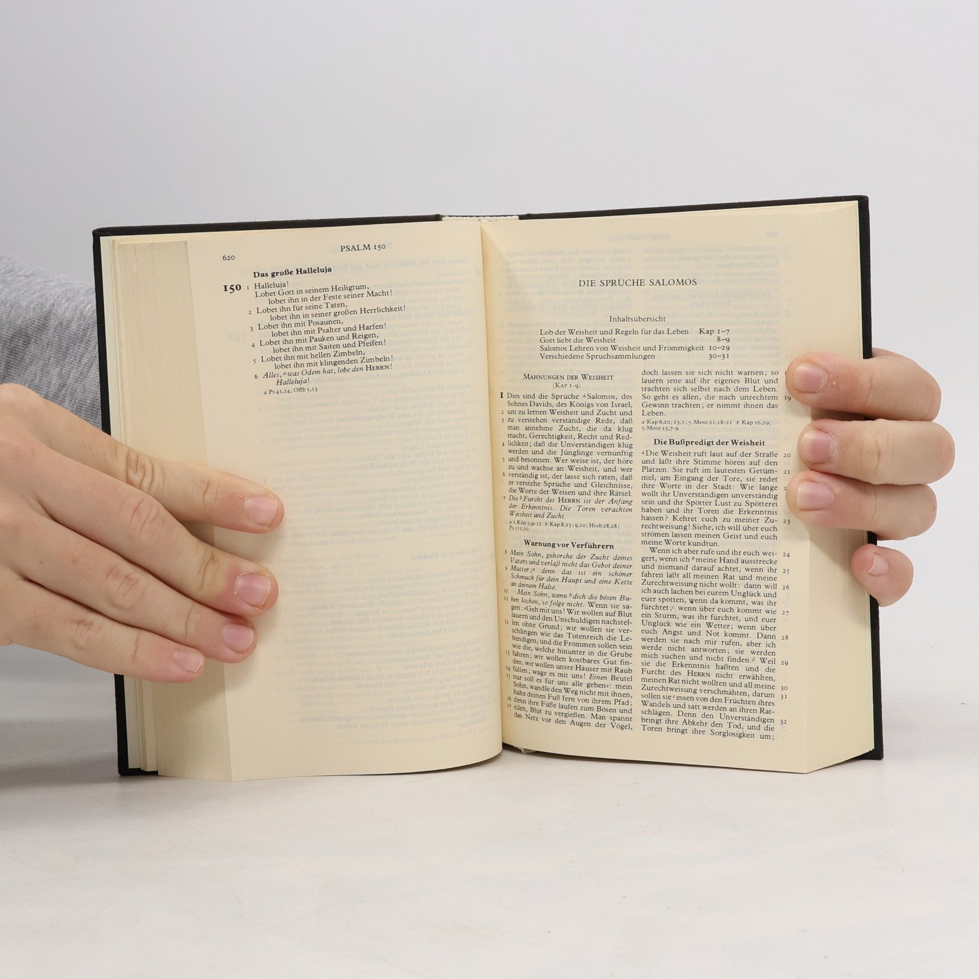 kolektiv Die Bibel