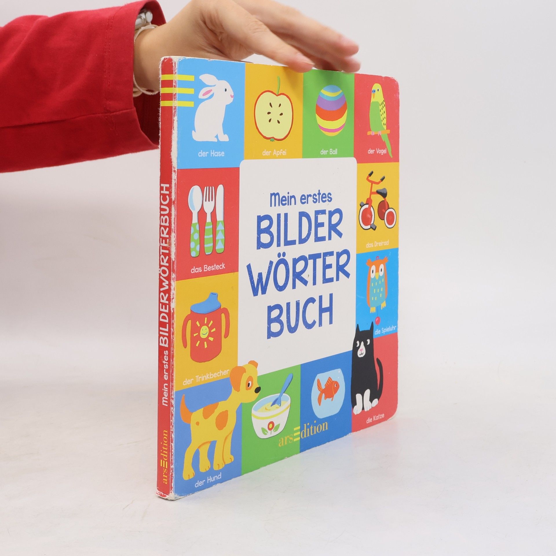 Anja Rieger Mein erstes Bilderwörterbuch
