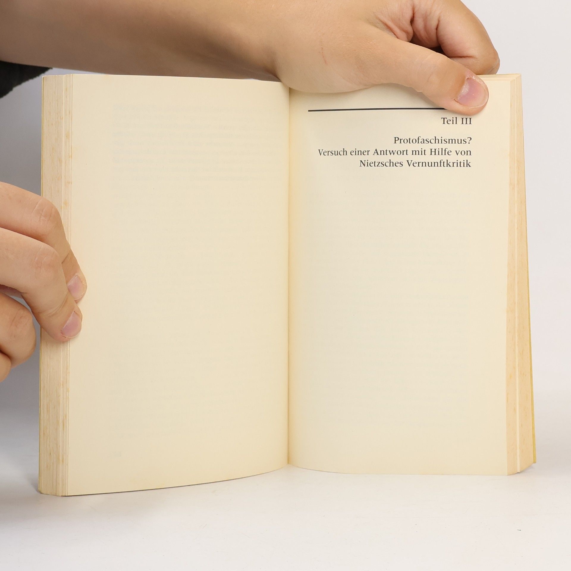 Bernhard H. F. Taureck Nietzsche und der Faschismus