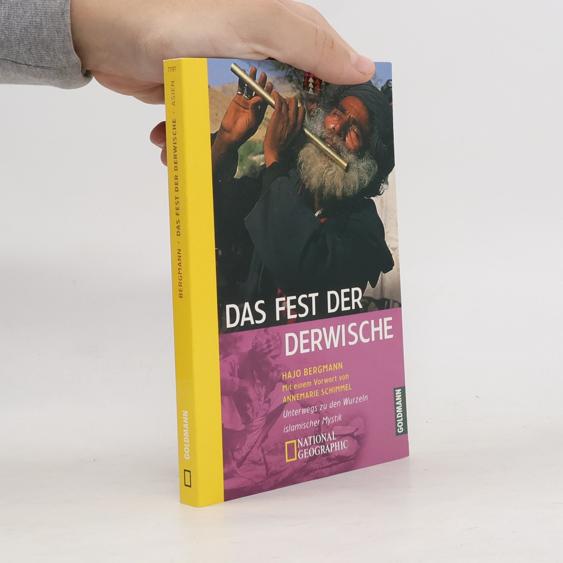 Hajo Bergmann Das Fest der Derwische