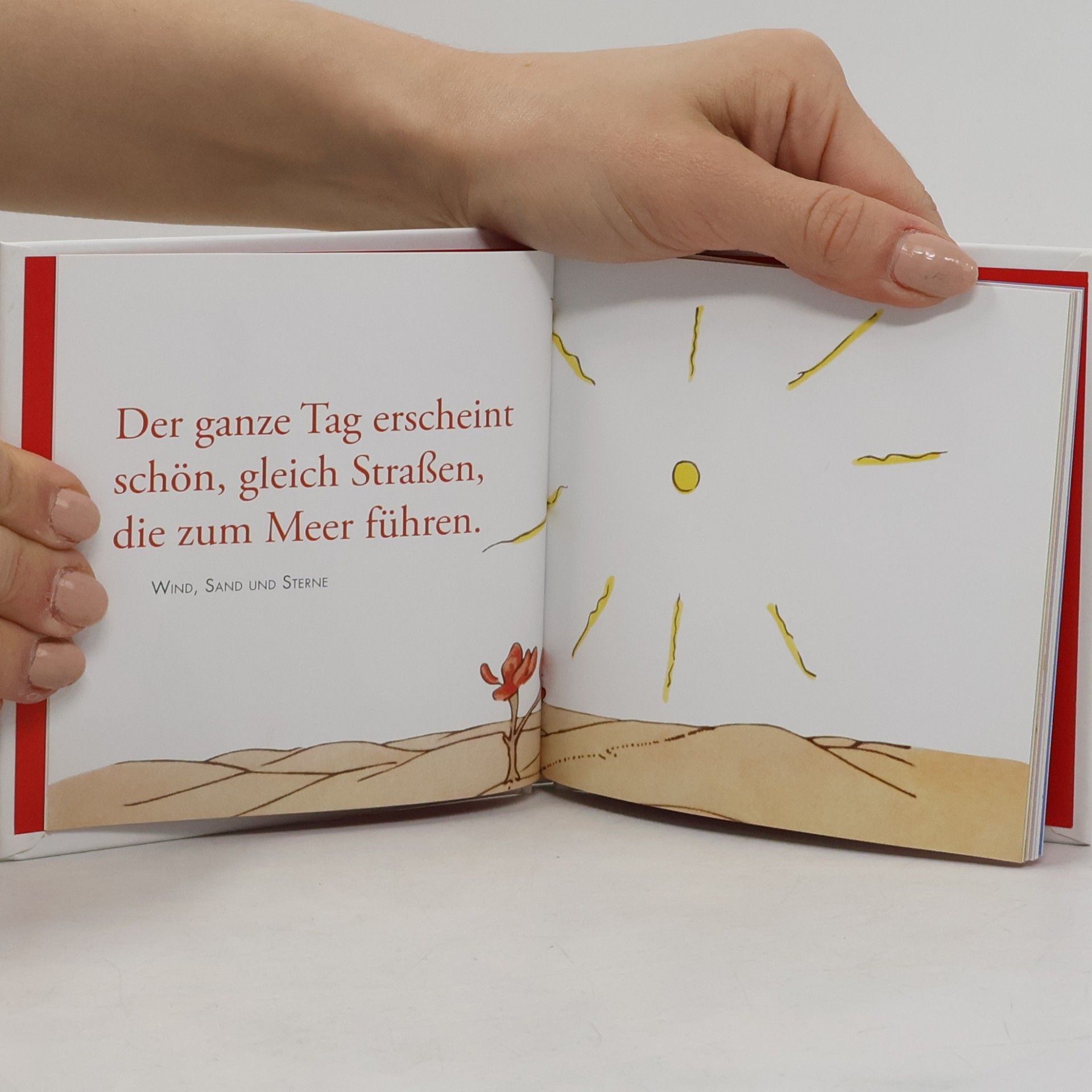 Antoine de Saint-Exupéry Kleiner Prinz Minibücher: Glückwunsch