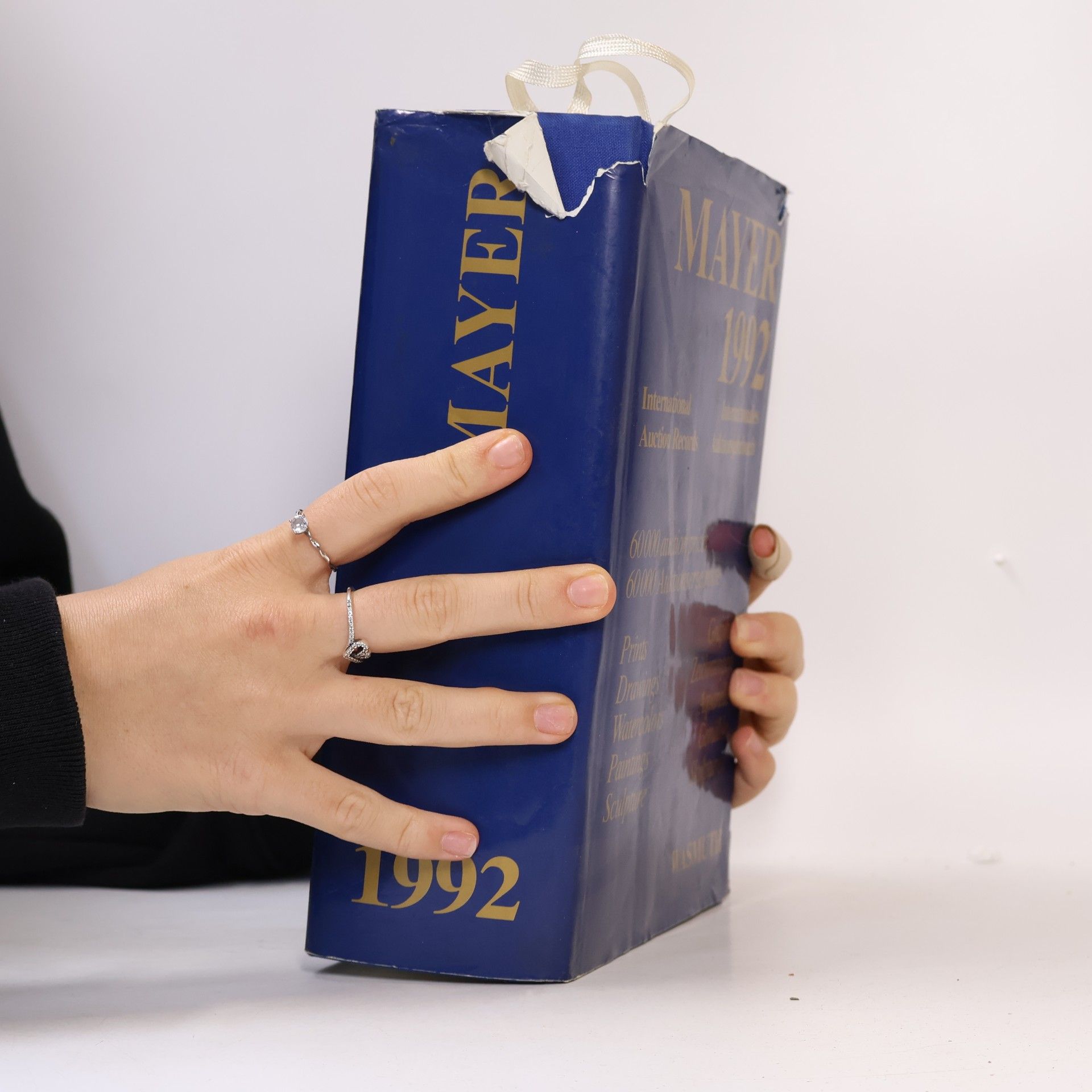 Enrique Mayer Mayer 1992: International Auction Records / Internationales Auktionsjahrbuch