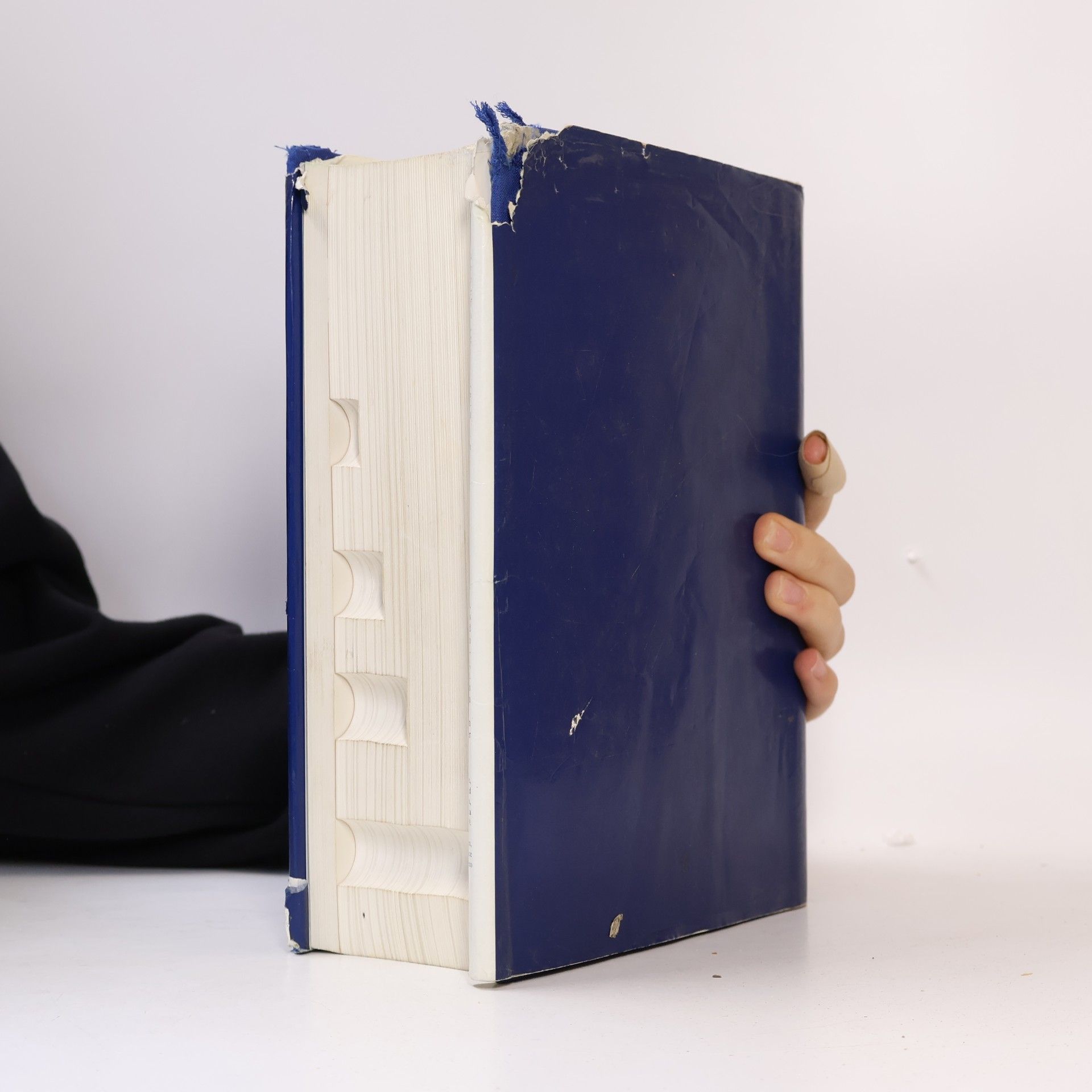 Enrique Mayer Mayer 1992: International Auction Records / Internationales Auktionsjahrbuch