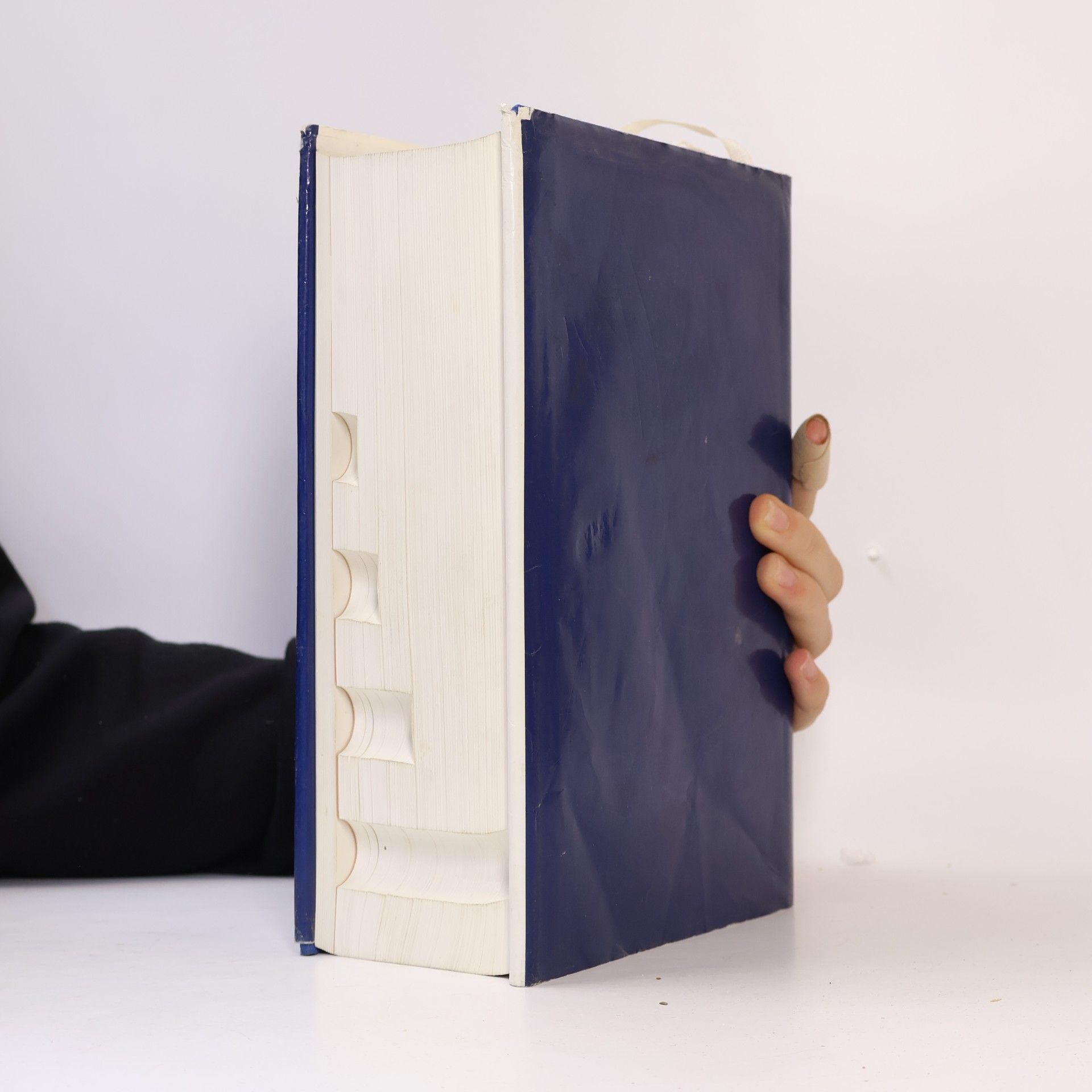 Enrique Mayer Mayer 1993: International Auction Records. Internationales Auktionsjahrbuch