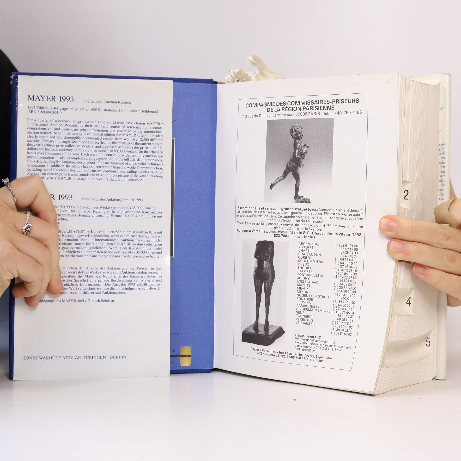 Enrique Mayer Mayer 1993: International Auction Records. Internationales Auktionsjahrbuch