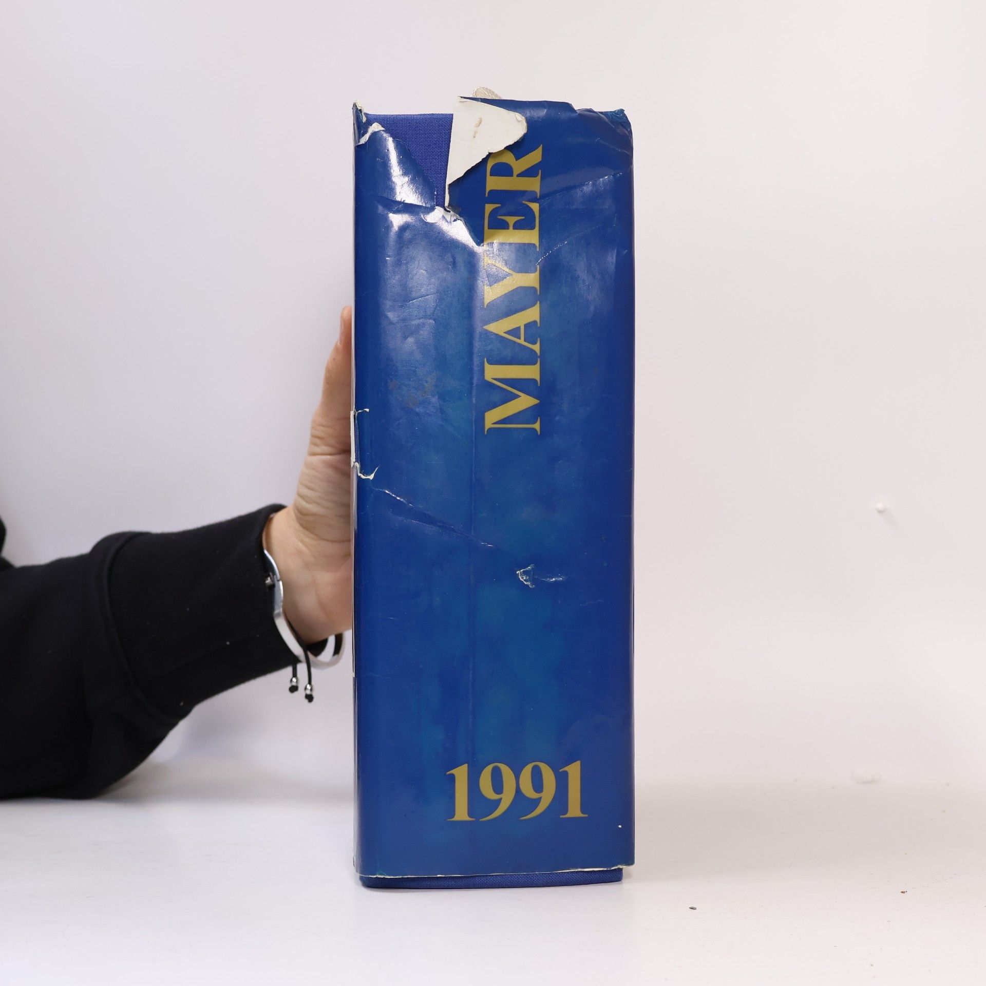 Mayer - Internationales Auktionsjahrbuch 1991: Mayer - International Auction Records 1991