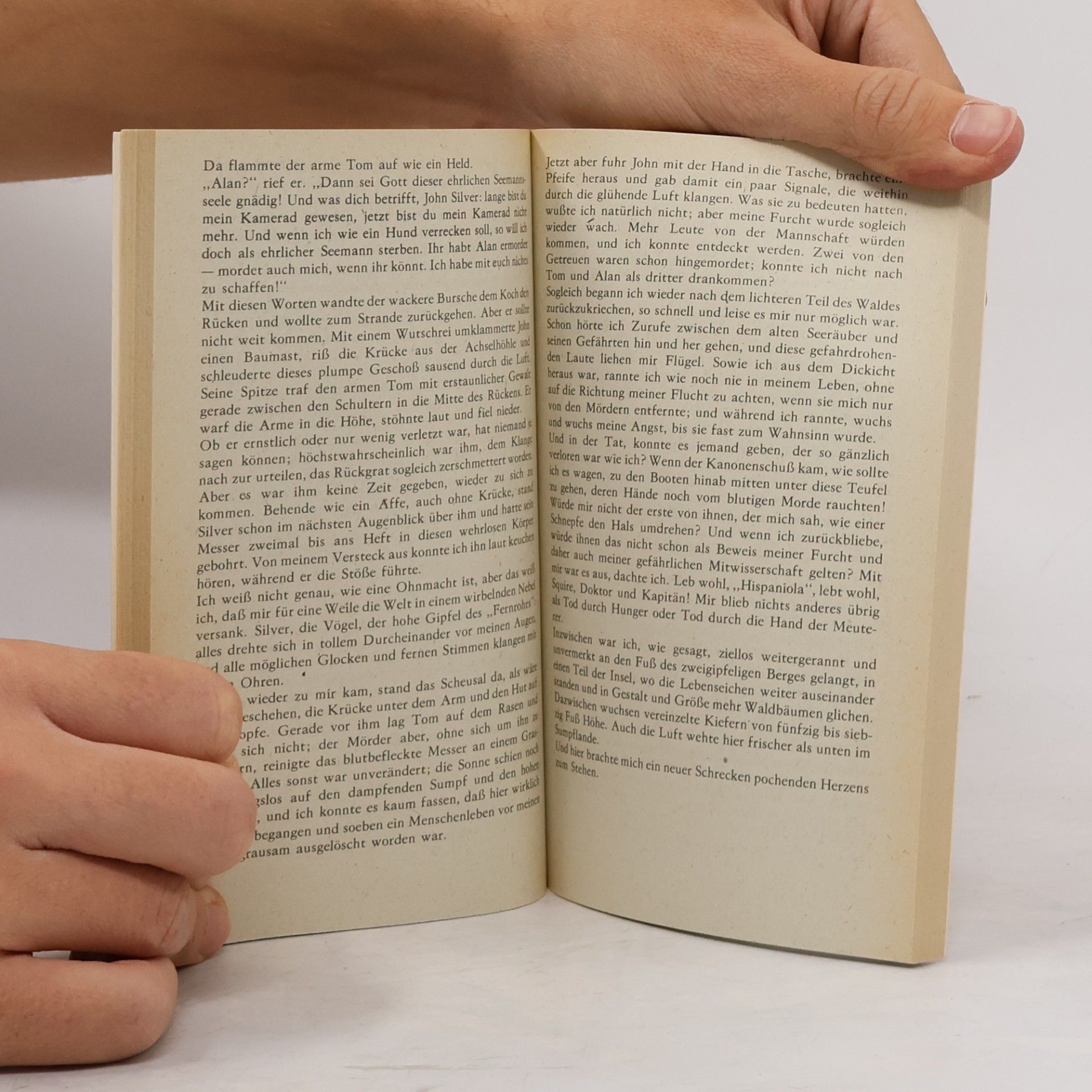 Robert Louis Stevenson Die Schatzinsel. Roman