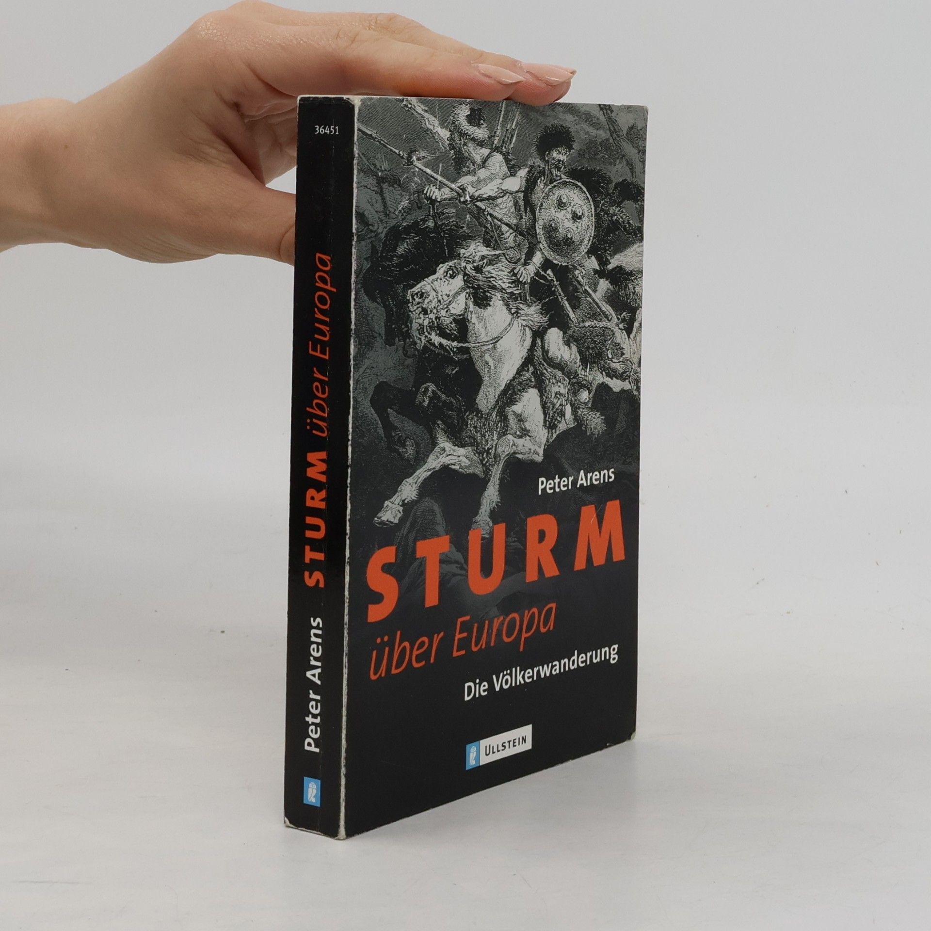 Peter Arens Sturm über Europa