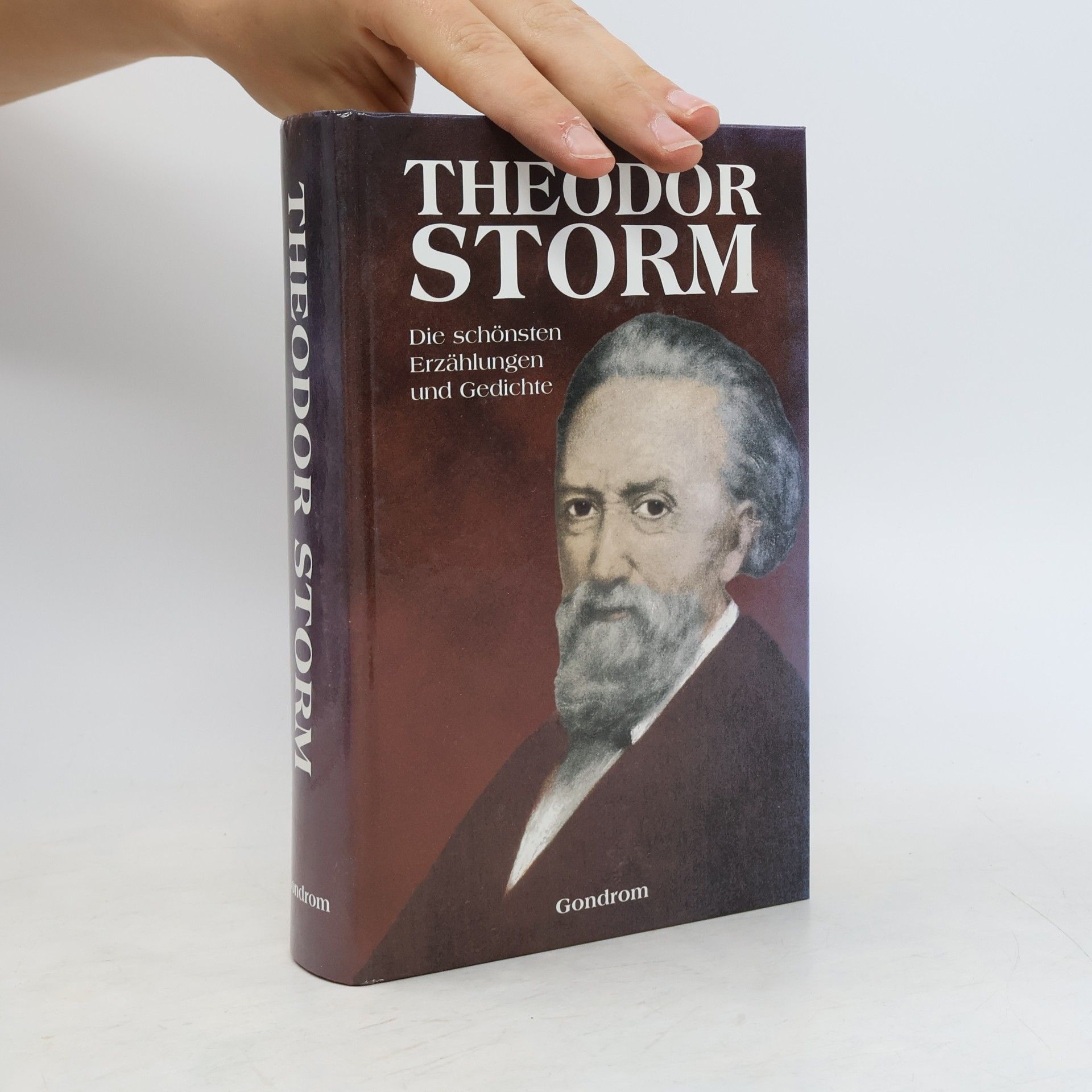 Theodor Storm Die schönsten Erzählungen und Gedichte