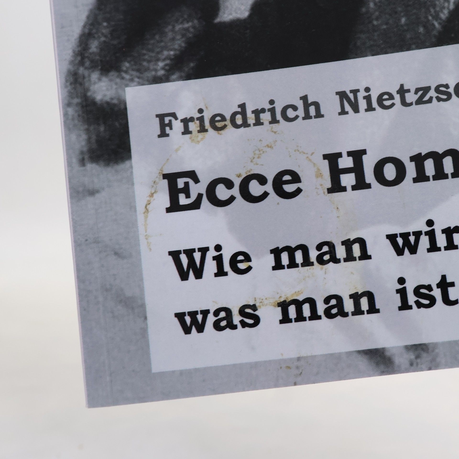 Friedrich Nietzsche Ecce Homo
