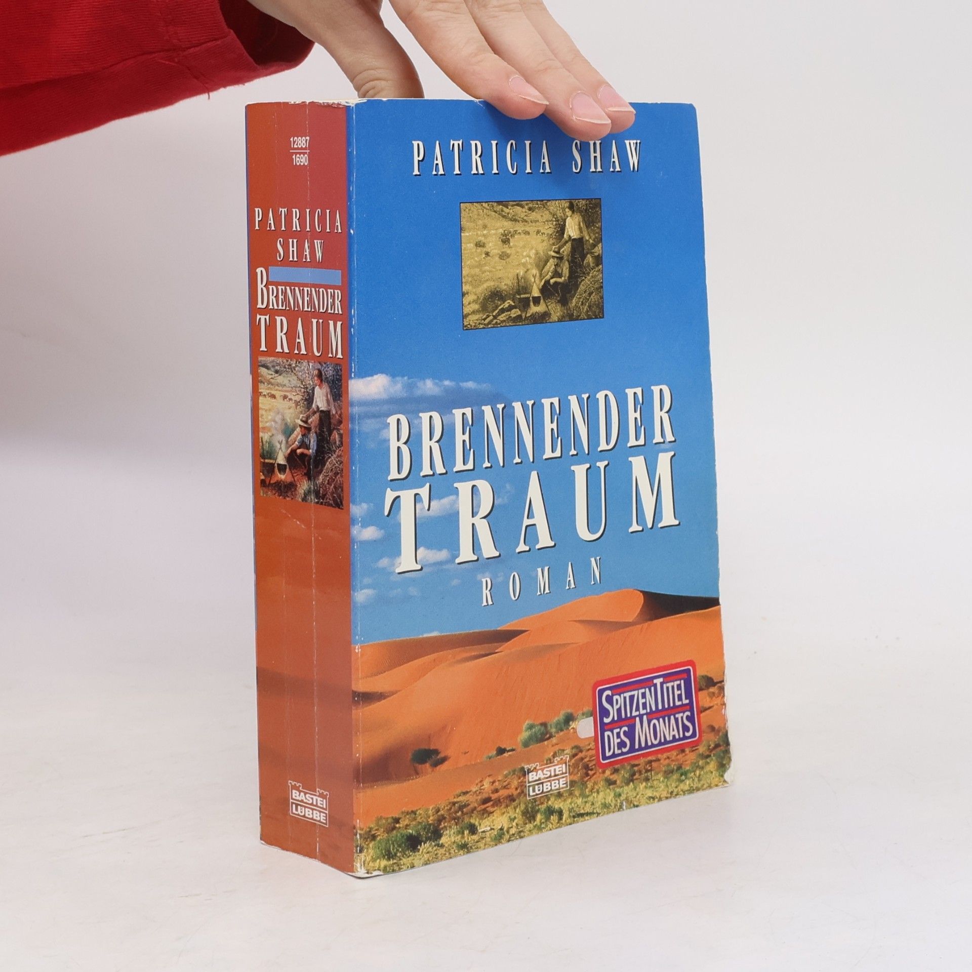 Patricia Shaw Brennender Traum