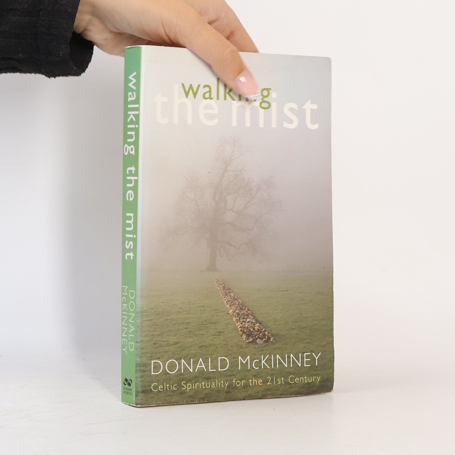 Donald McKinney Walking the Mist