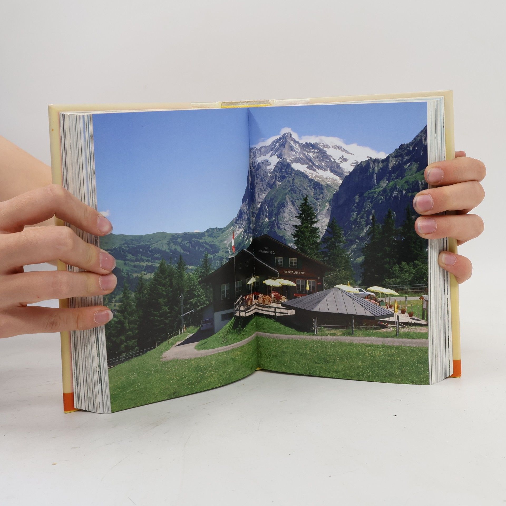 Brigitte Engelmann Das Feinschmecker-Handbuch Käse