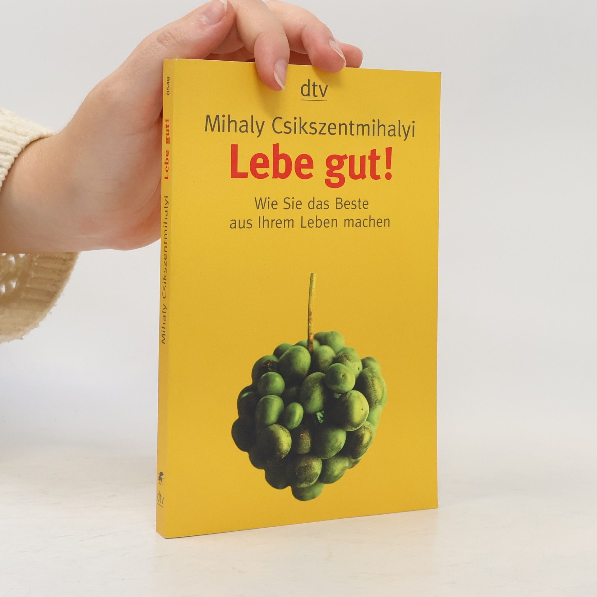 Mihaly Csikszentmihalyi Lebe gut!