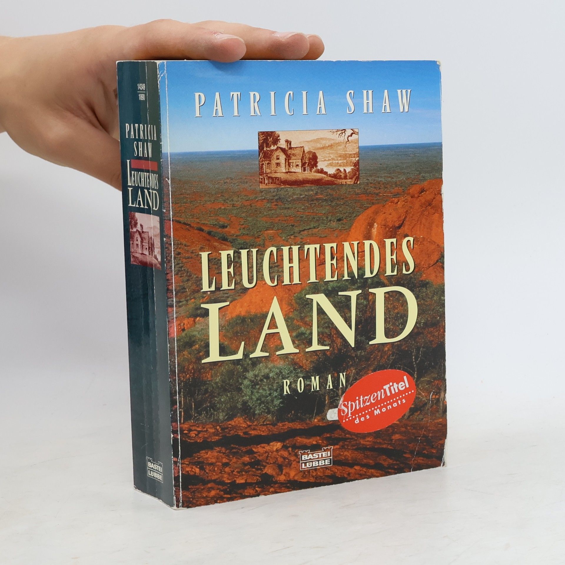 Patricia Shaw Leuchtendes Land