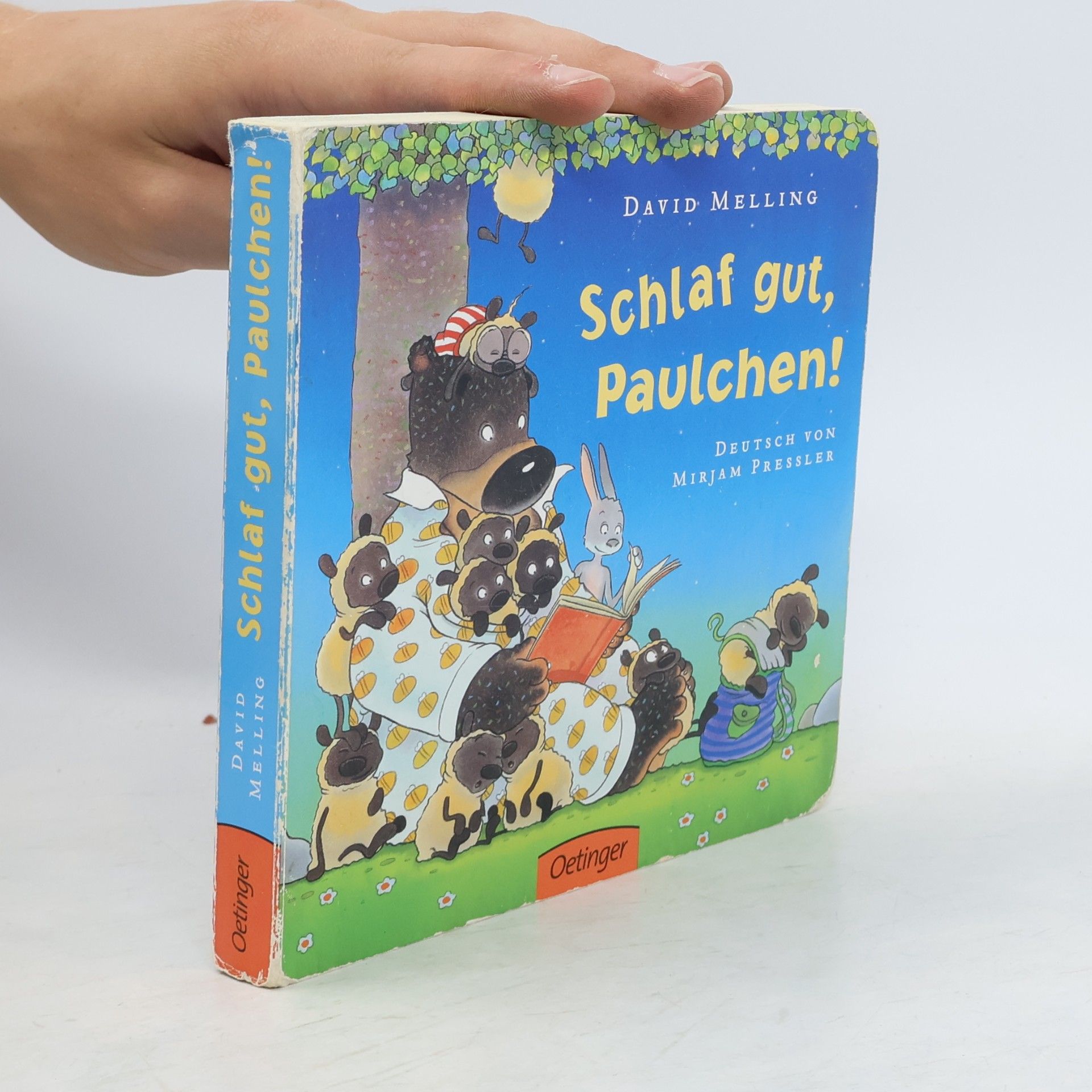 David Melling Schlaf gut, Paulchen!