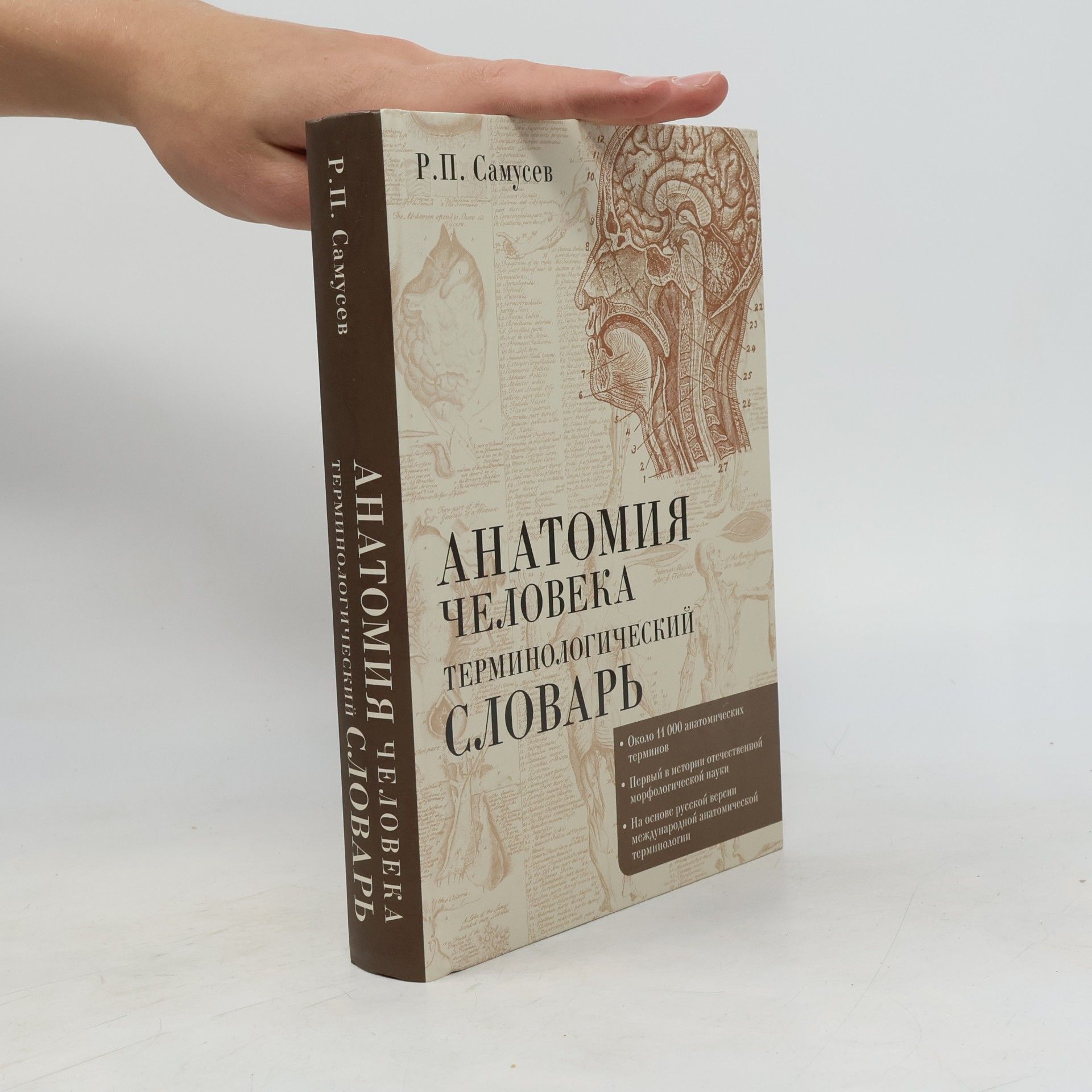 Рудольф Павлович Самусев Анатомия человека. Терминологический словарь