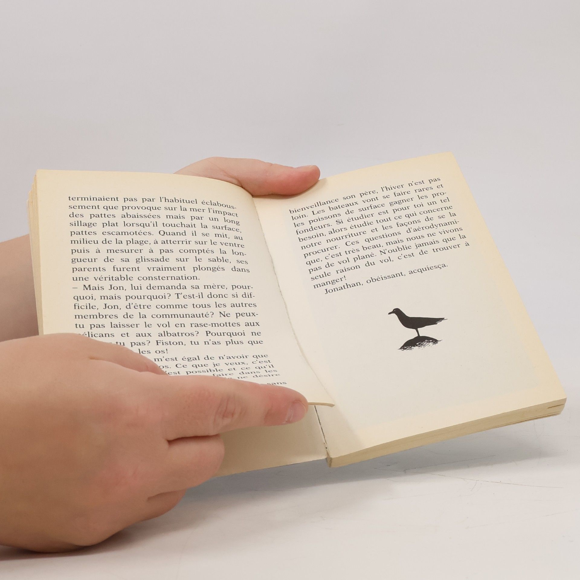 Richard Bach Jonathan Livingston le goéland