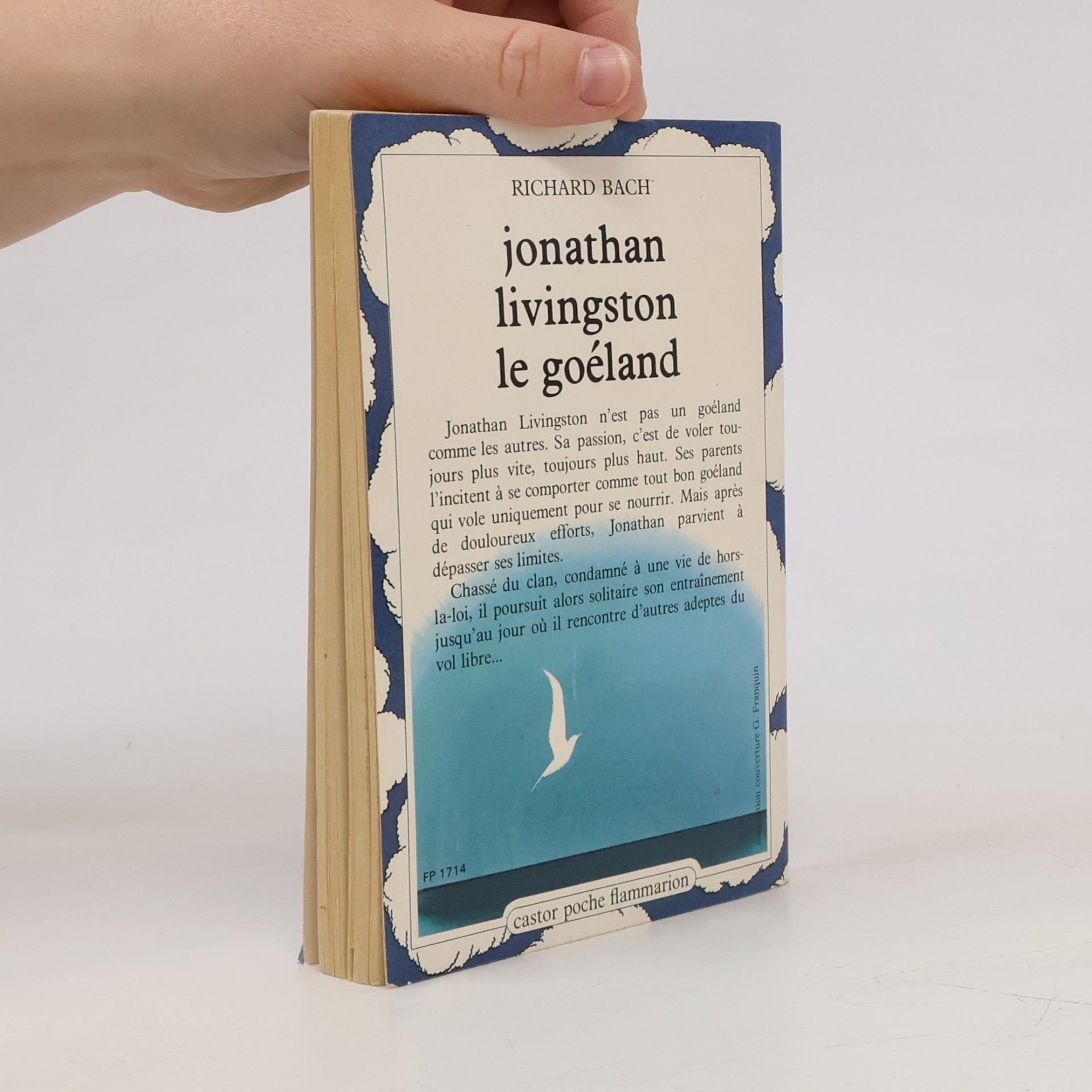 Richard Bach Jonathan Livingston le goéland