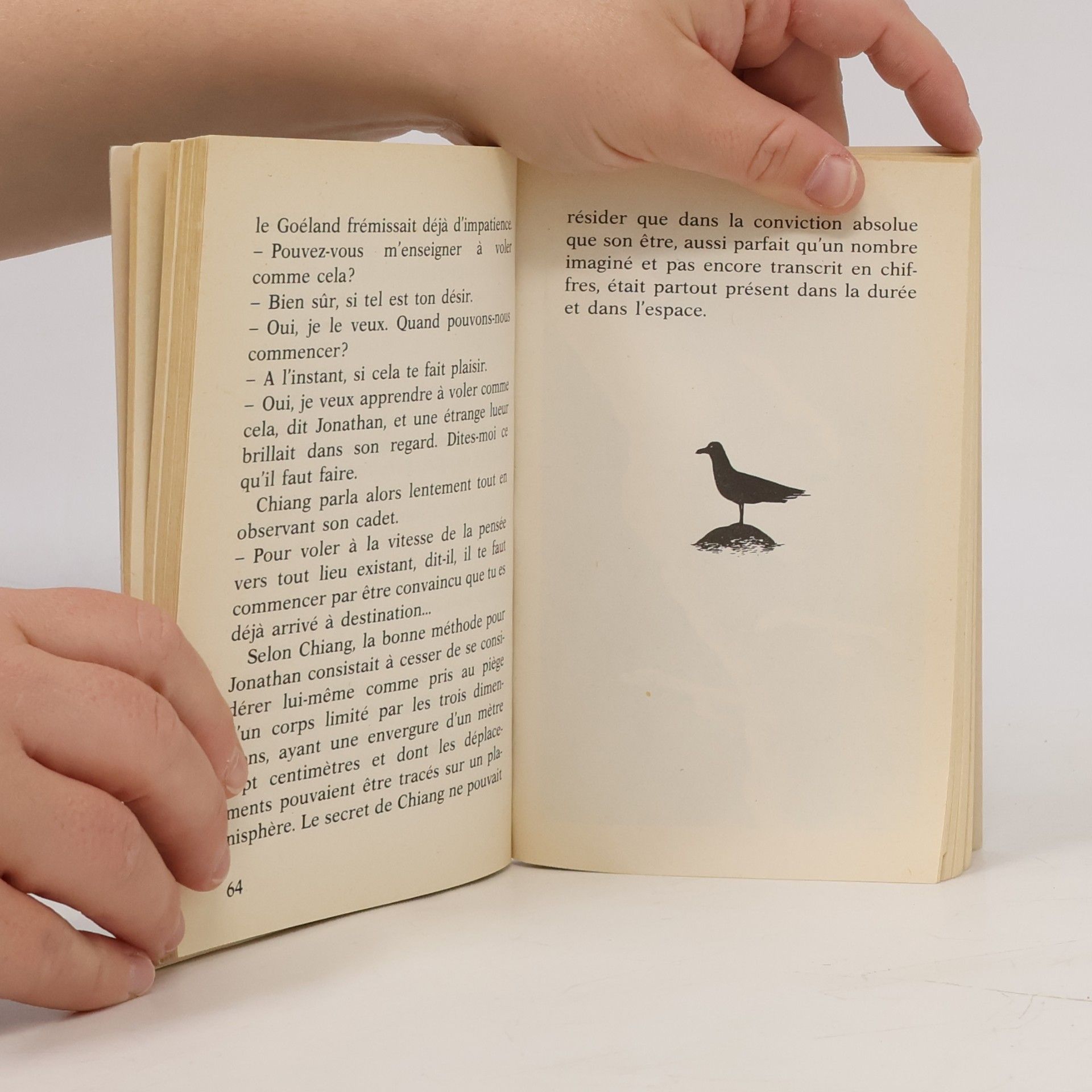 Richard Bach Jonathan Livingston le goéland