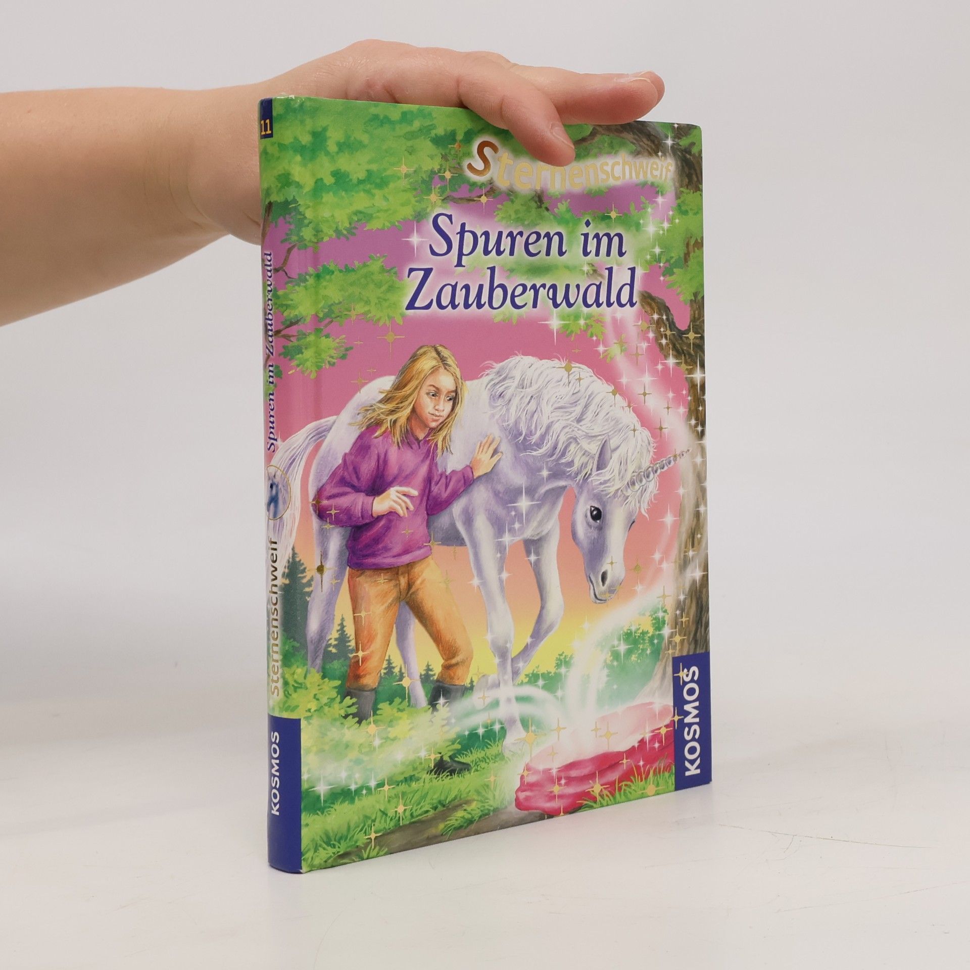 Linda Champan Sternenschweif. Spuren im Zauberwald 11