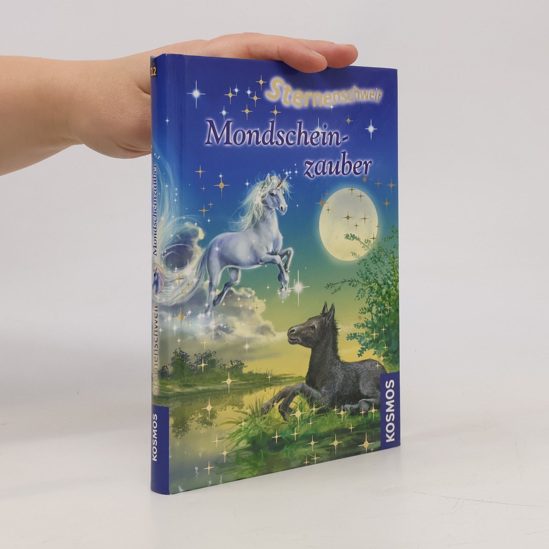Linda Champan Sternenschweif. Mondscheinzauber 12