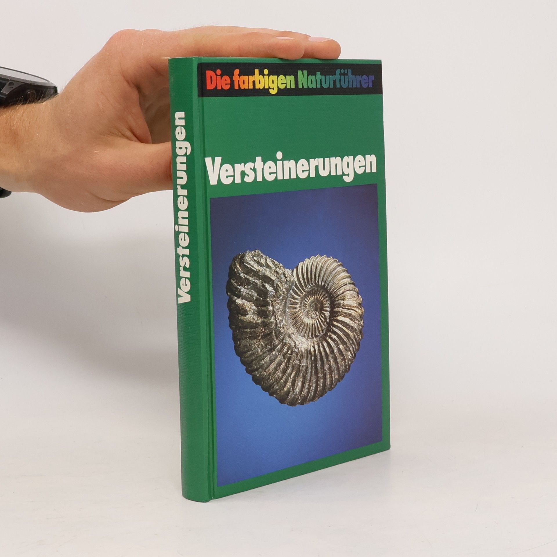 Versteinerungen
