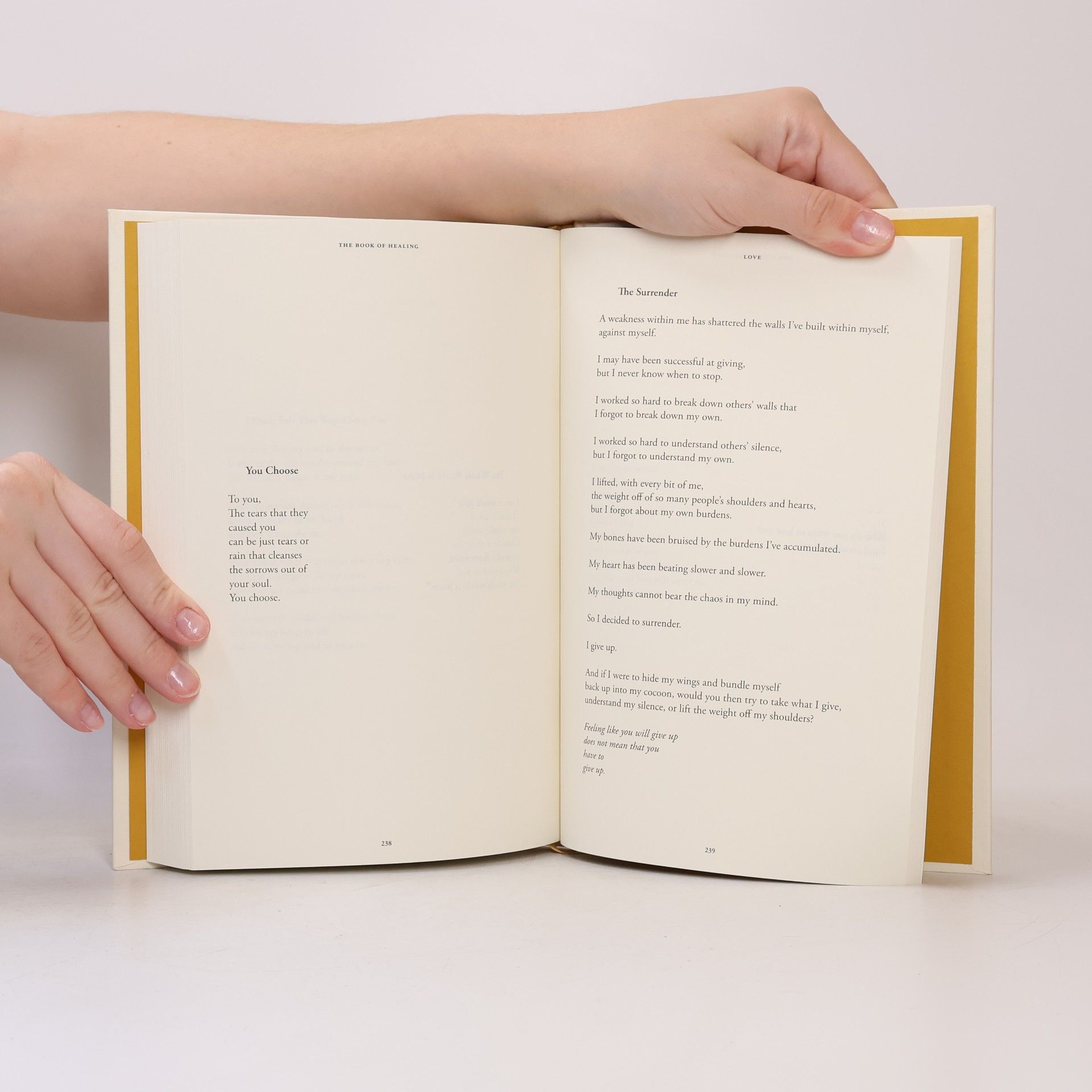 Najwa Zebian The Book of Healing