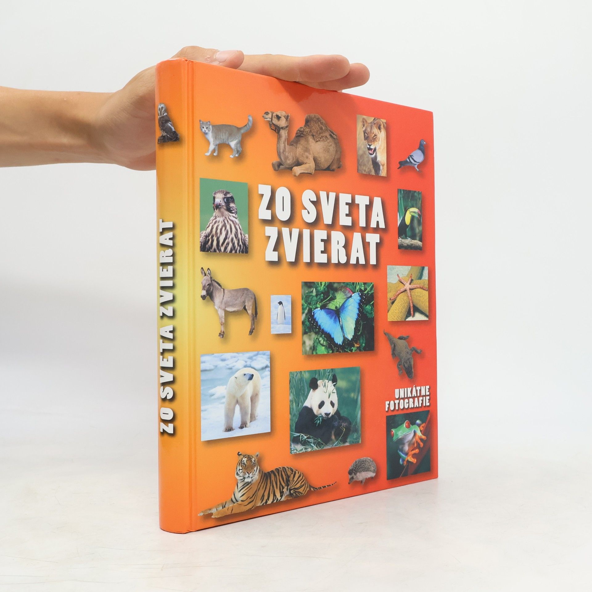 Autorenkollektiv Zo sveta zvierat