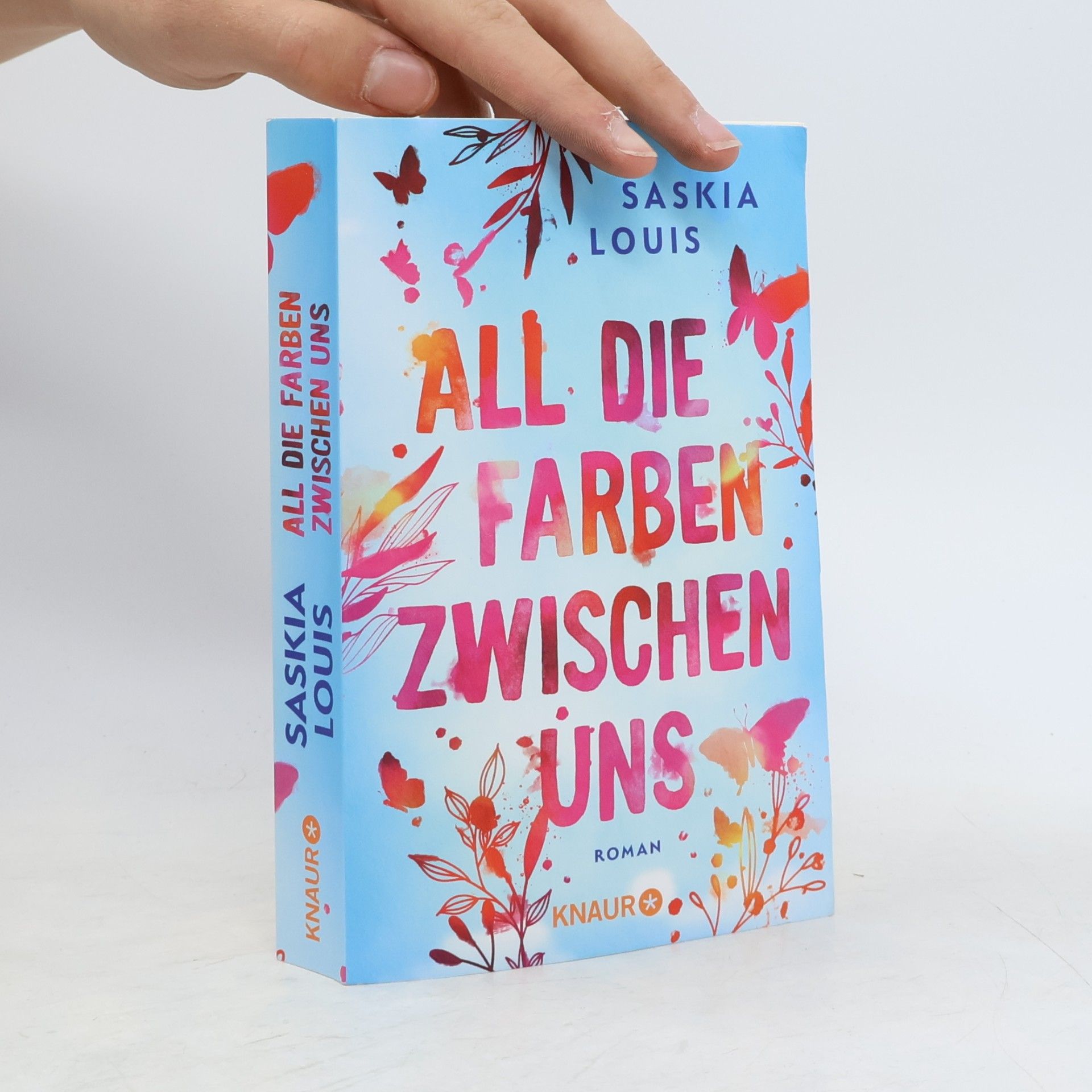 Saskia Louis All die Farben zwischen uns