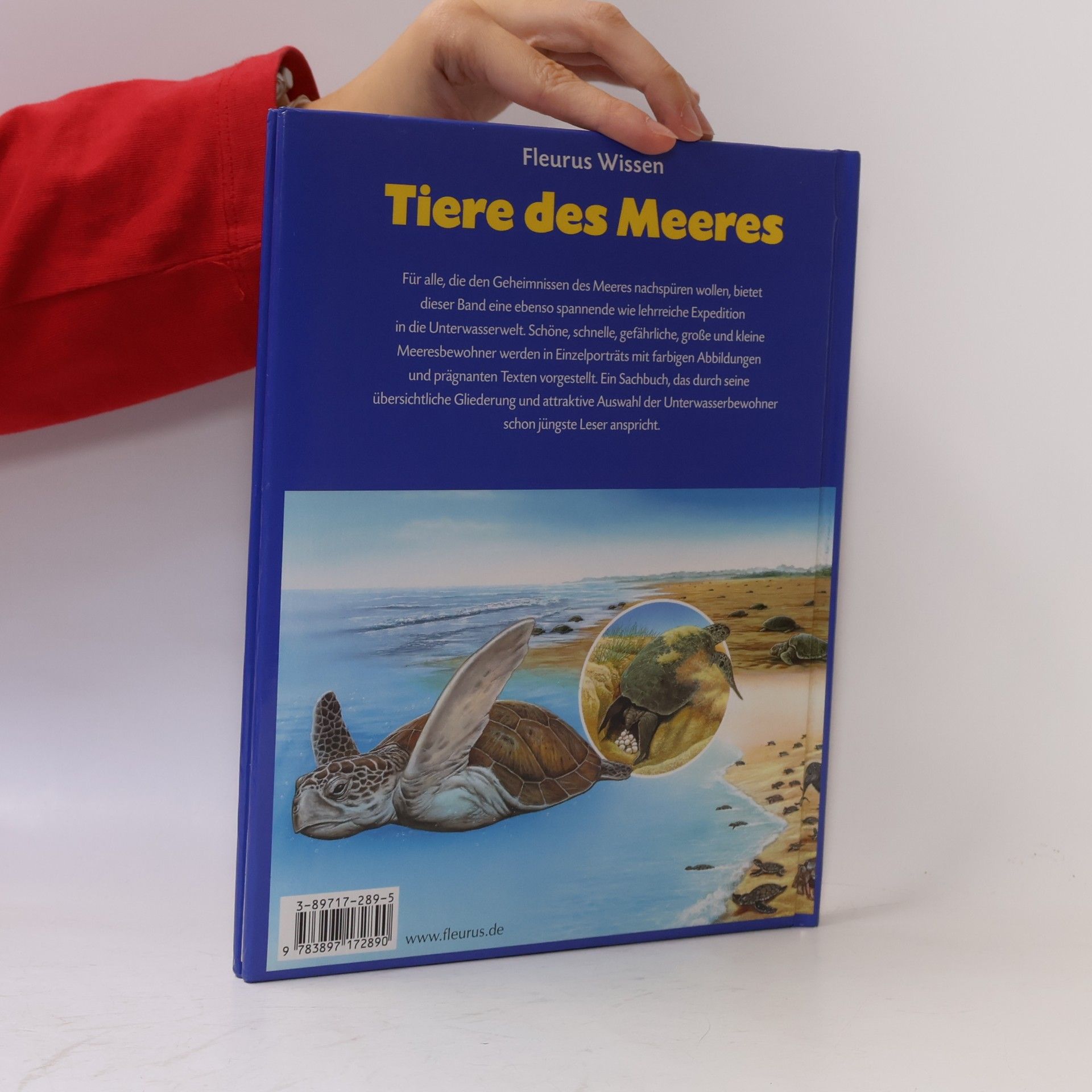Emilie Beaumont Fleurus Wissen: Tiere des Meeres