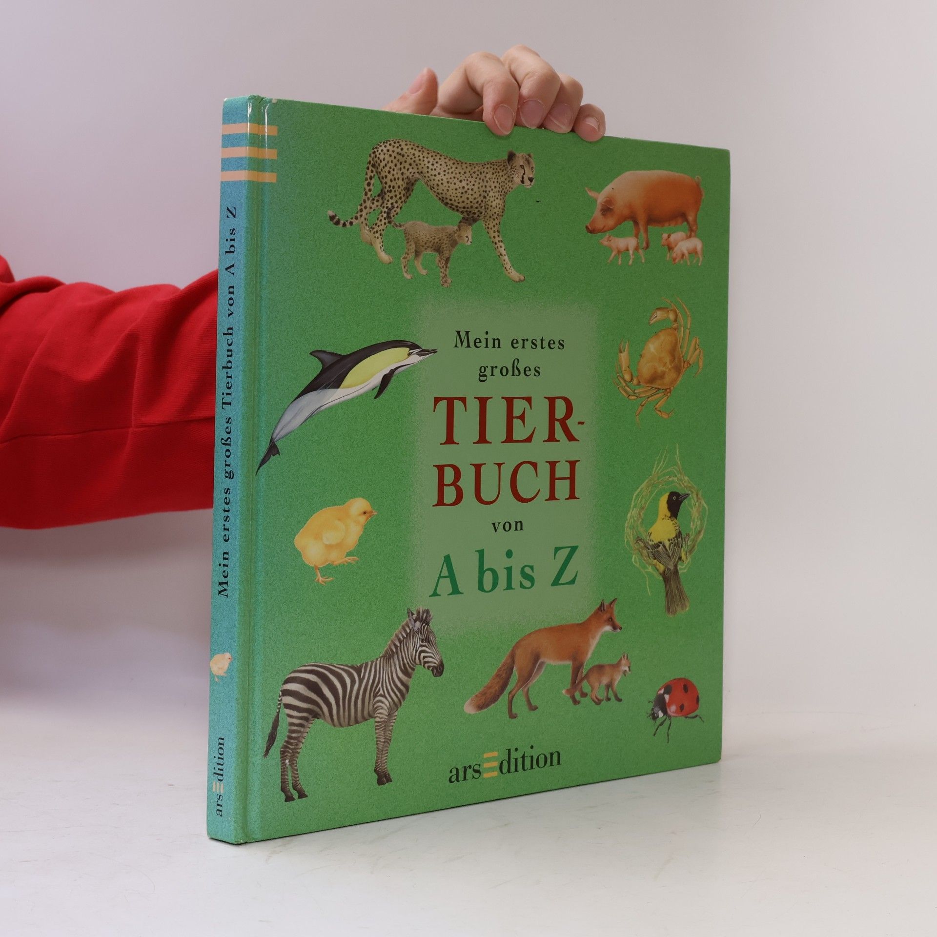 Christian Havard Mein erstes großes Tierbuch von A bis Z