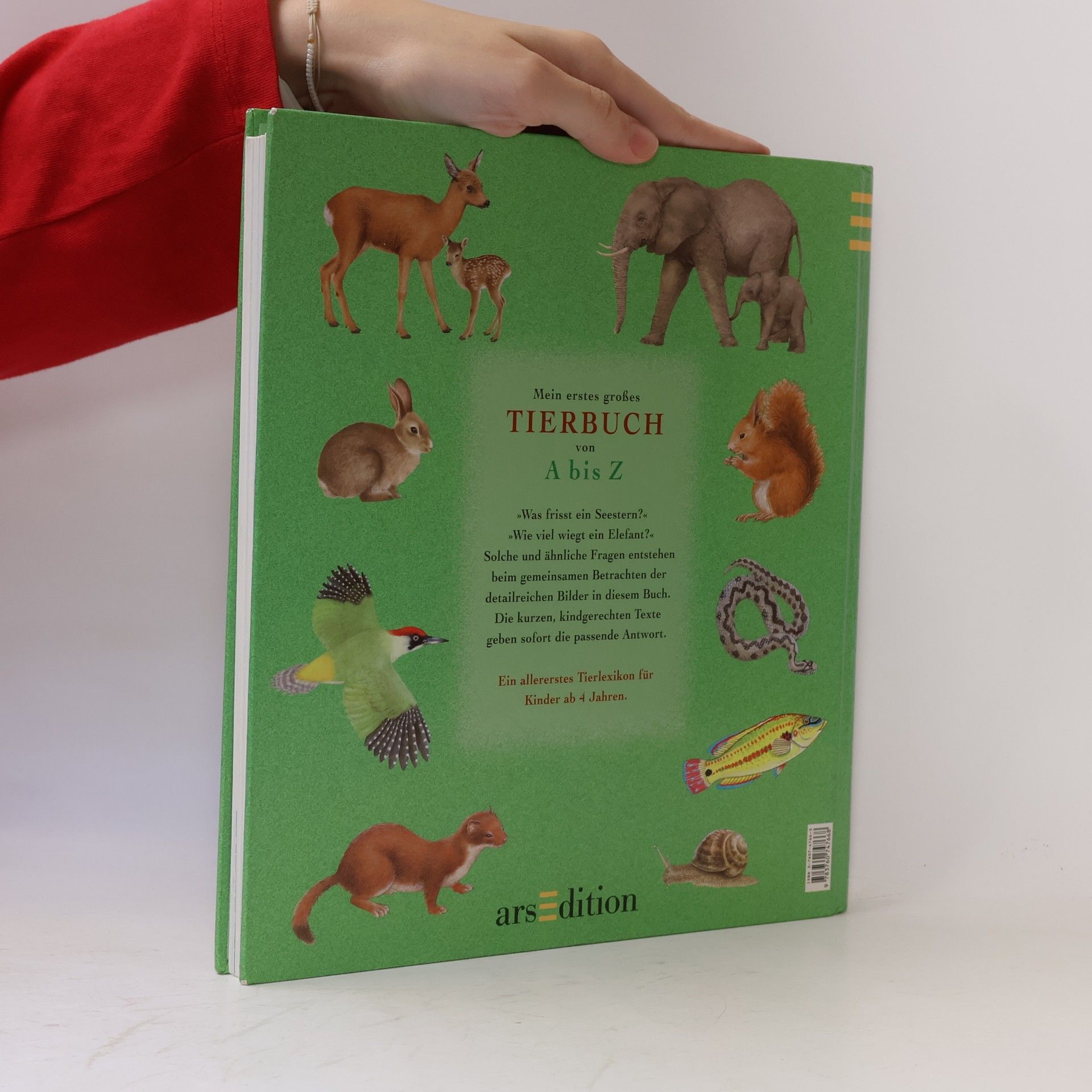 Christian Havard Mein erstes großes Tierbuch von A bis Z