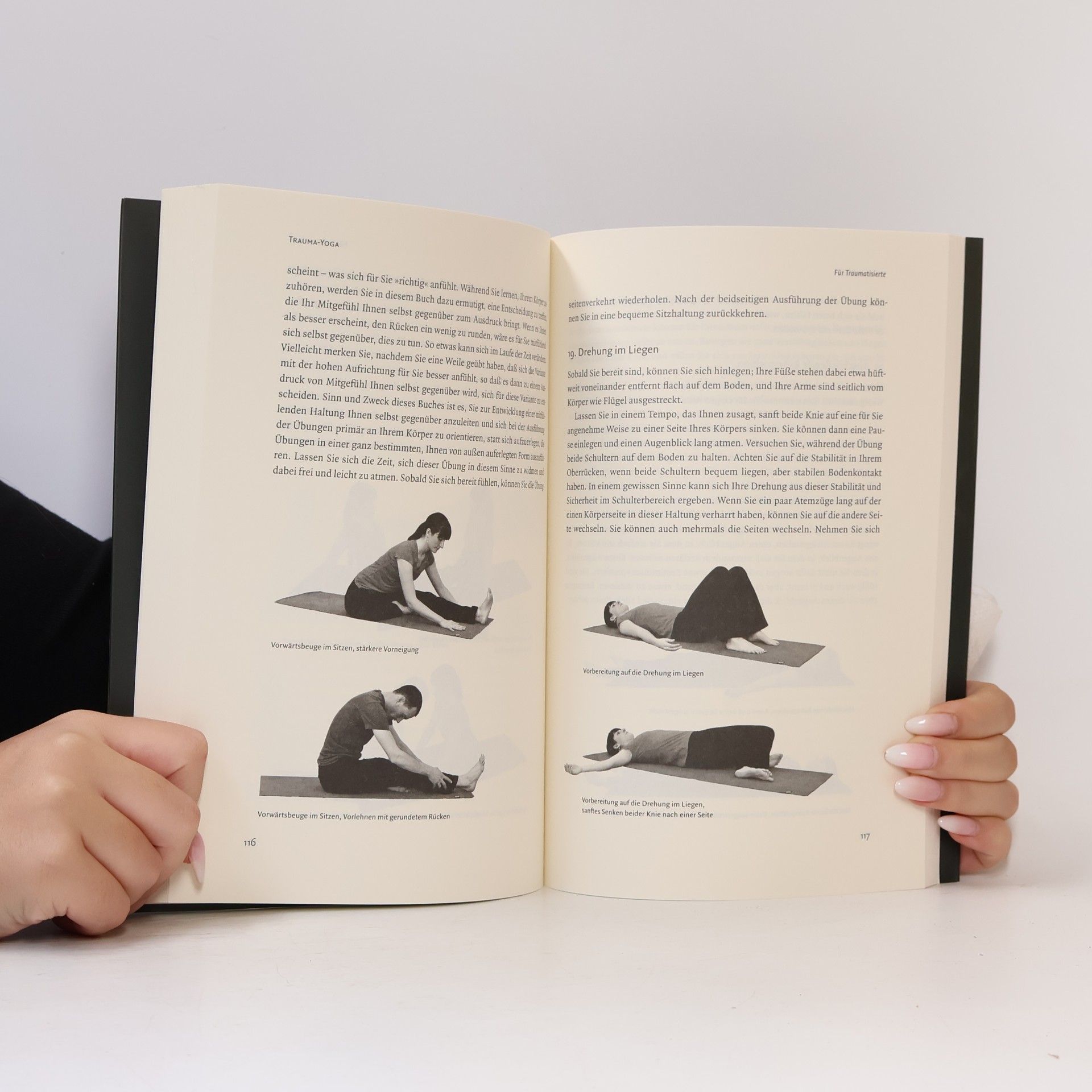 David Emerson Trauma-Yoga