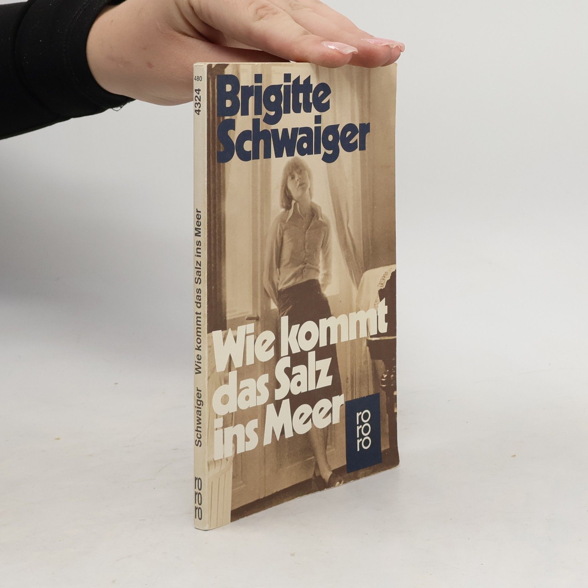 Brigitte Schwaiger Wie kommt das Salz ins Meer : Roman