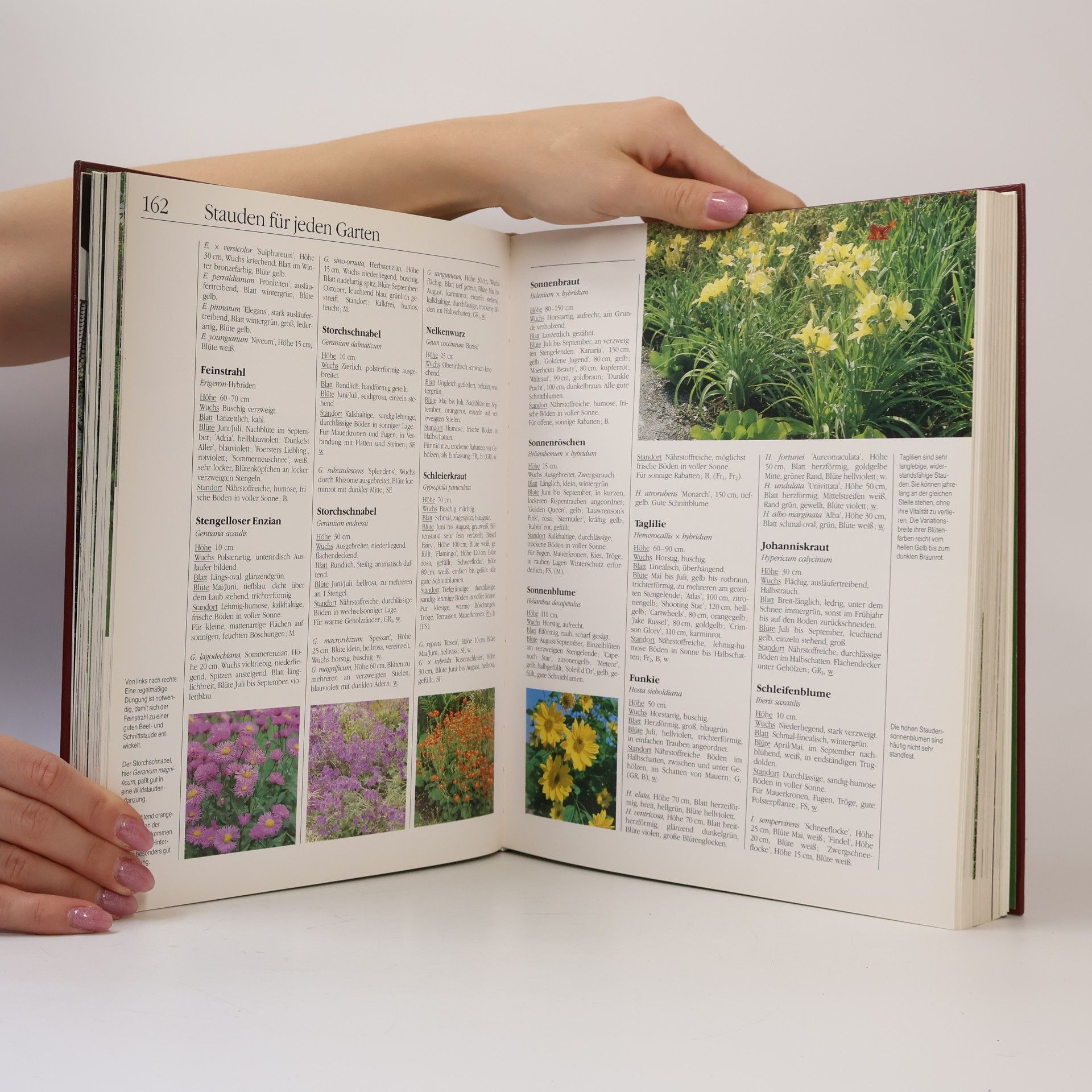 Autorenkollektiv Handbuch Garten: Das große Nachschlagewerk für alle Fragen der Gartenpraxis